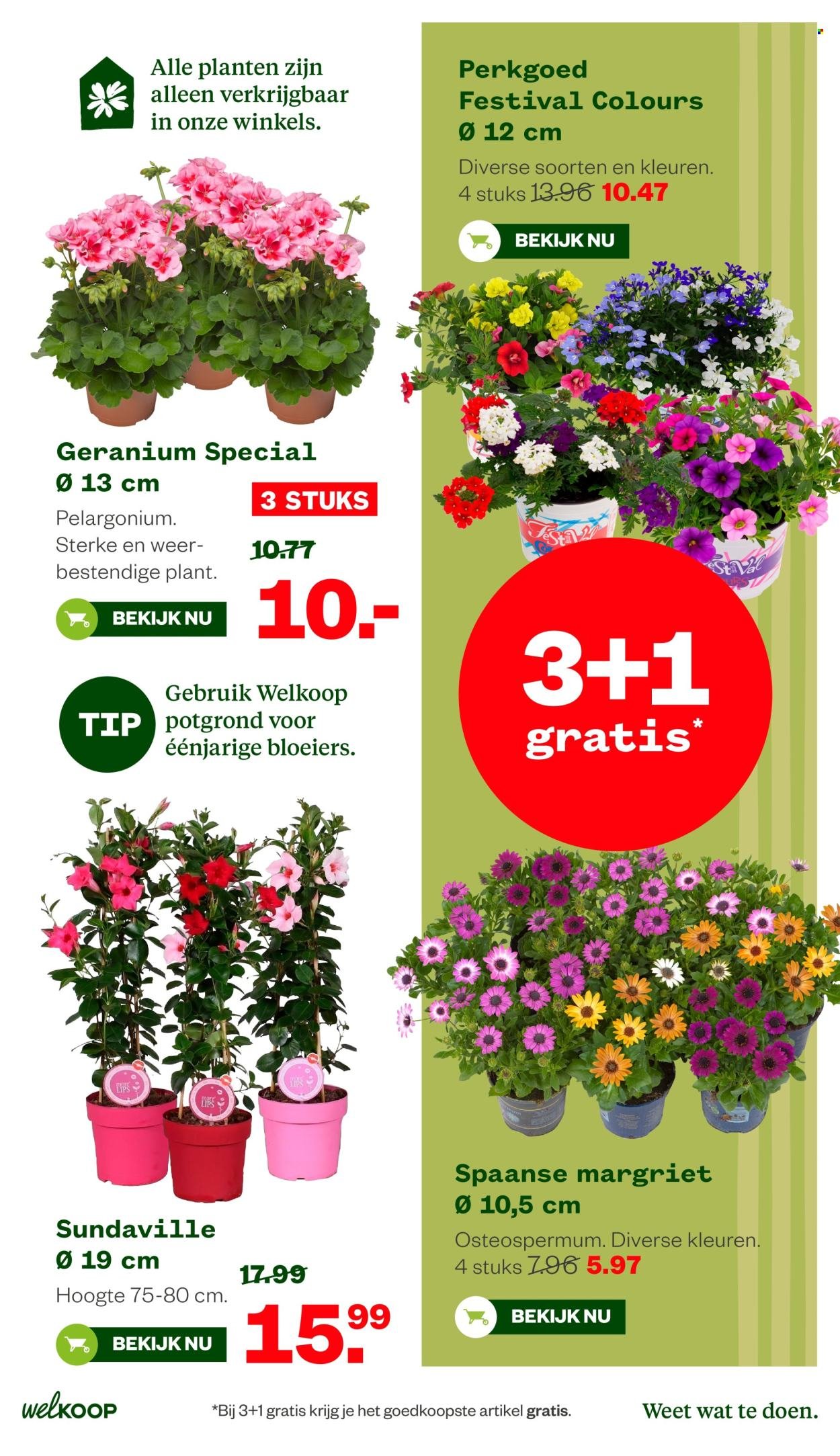 WELKOOP folder - Van maandag 25 mei 2026