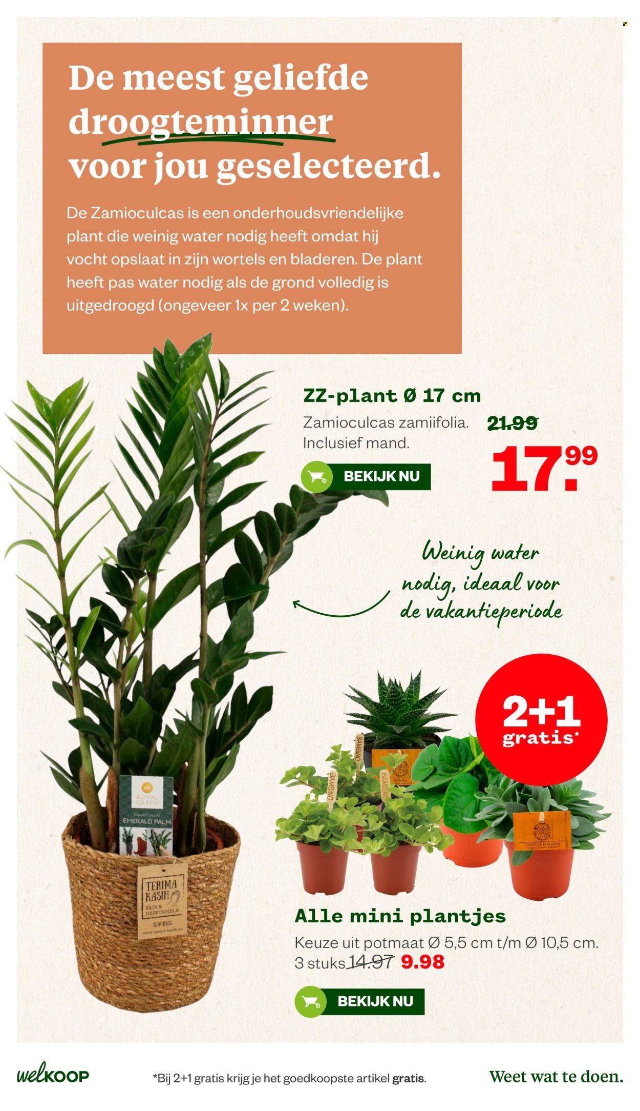 WELKOOP folder - Van maandag 25 mei 2026