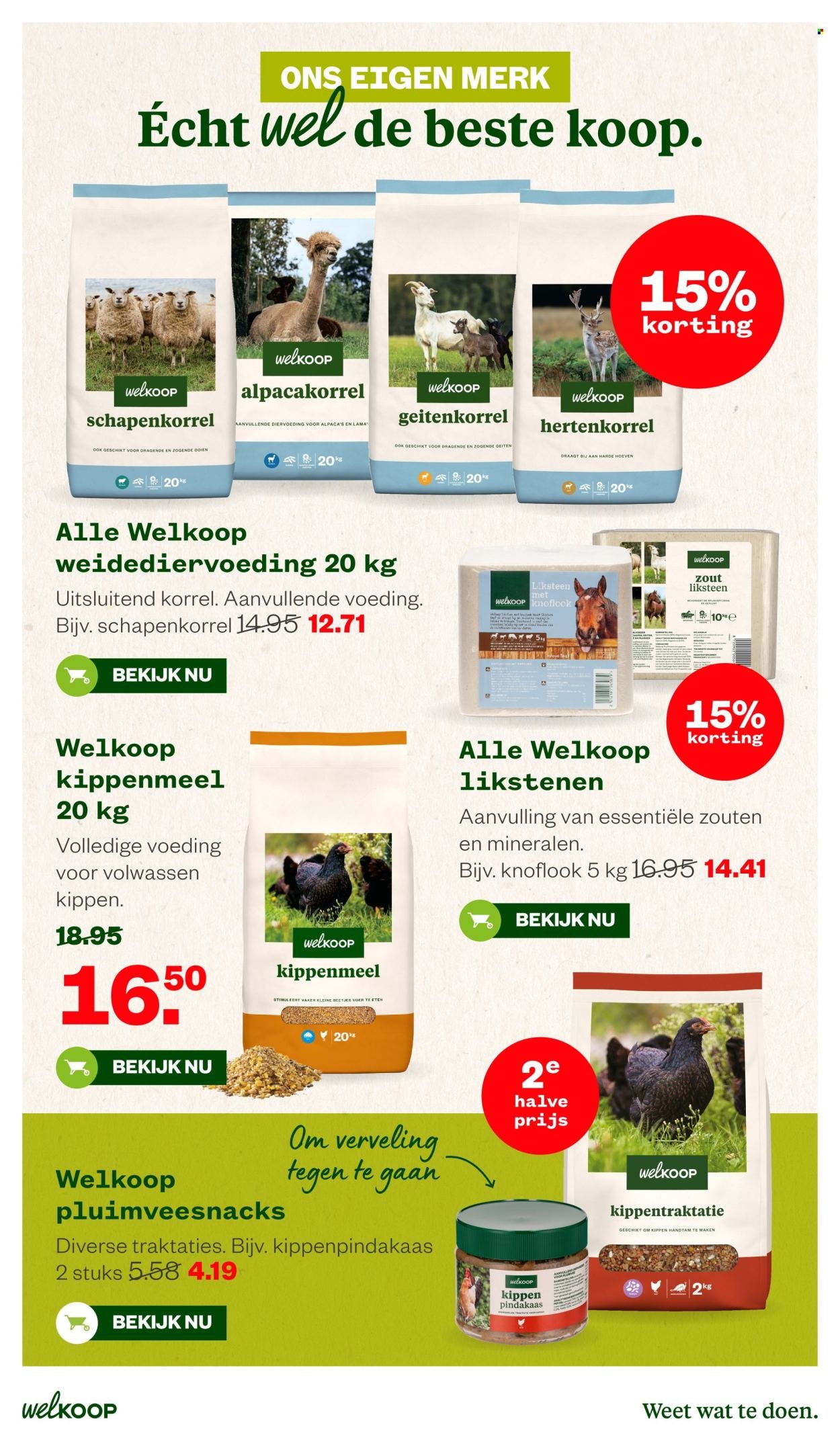 WELKOOP folder - Van maandag 25 mei 2026