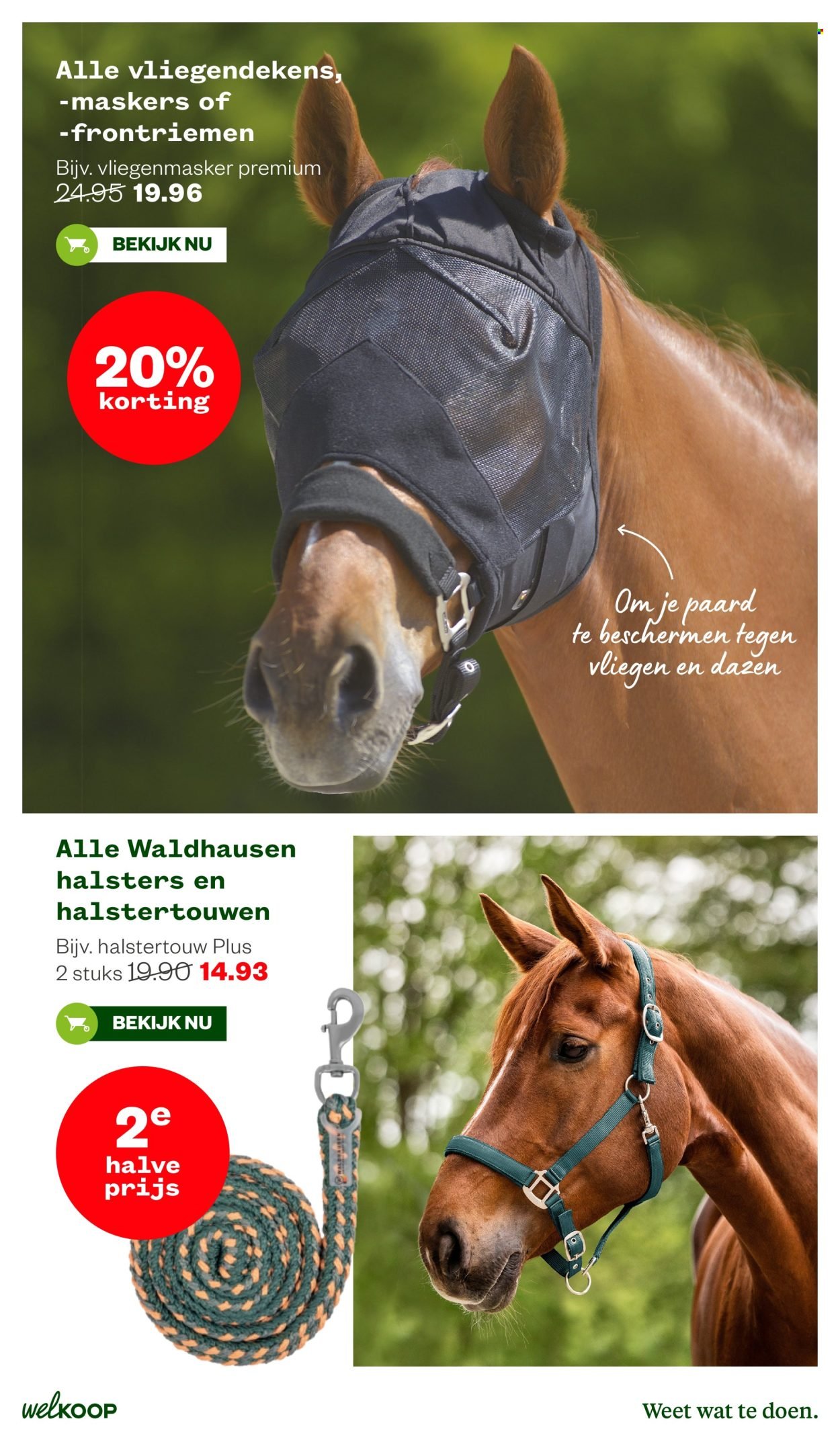 WELKOOP folder - Van maandag 25 mei 2026