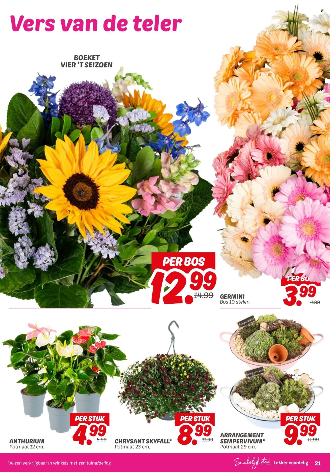 DEKAMARKT folder - Van dinsdag 12 augustus 2025 (2025-08-12 - 2025-08-18)