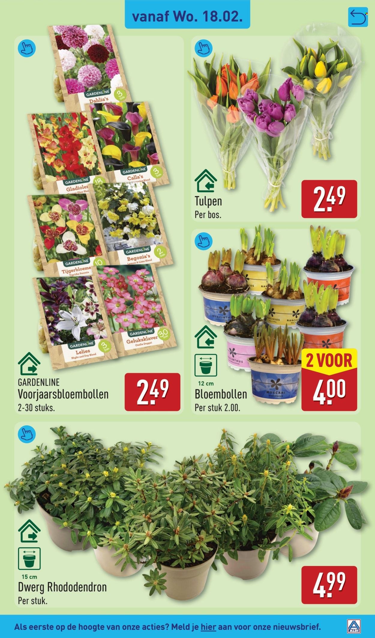 ALDI folder - Van woensdag 18 februari 2026