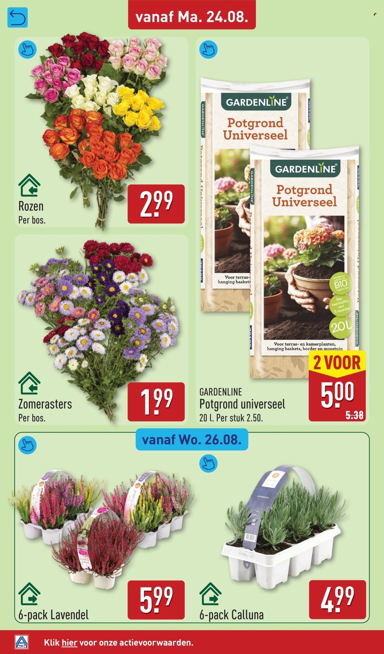 ALDI folder - Van maandag 24 augustus 2026