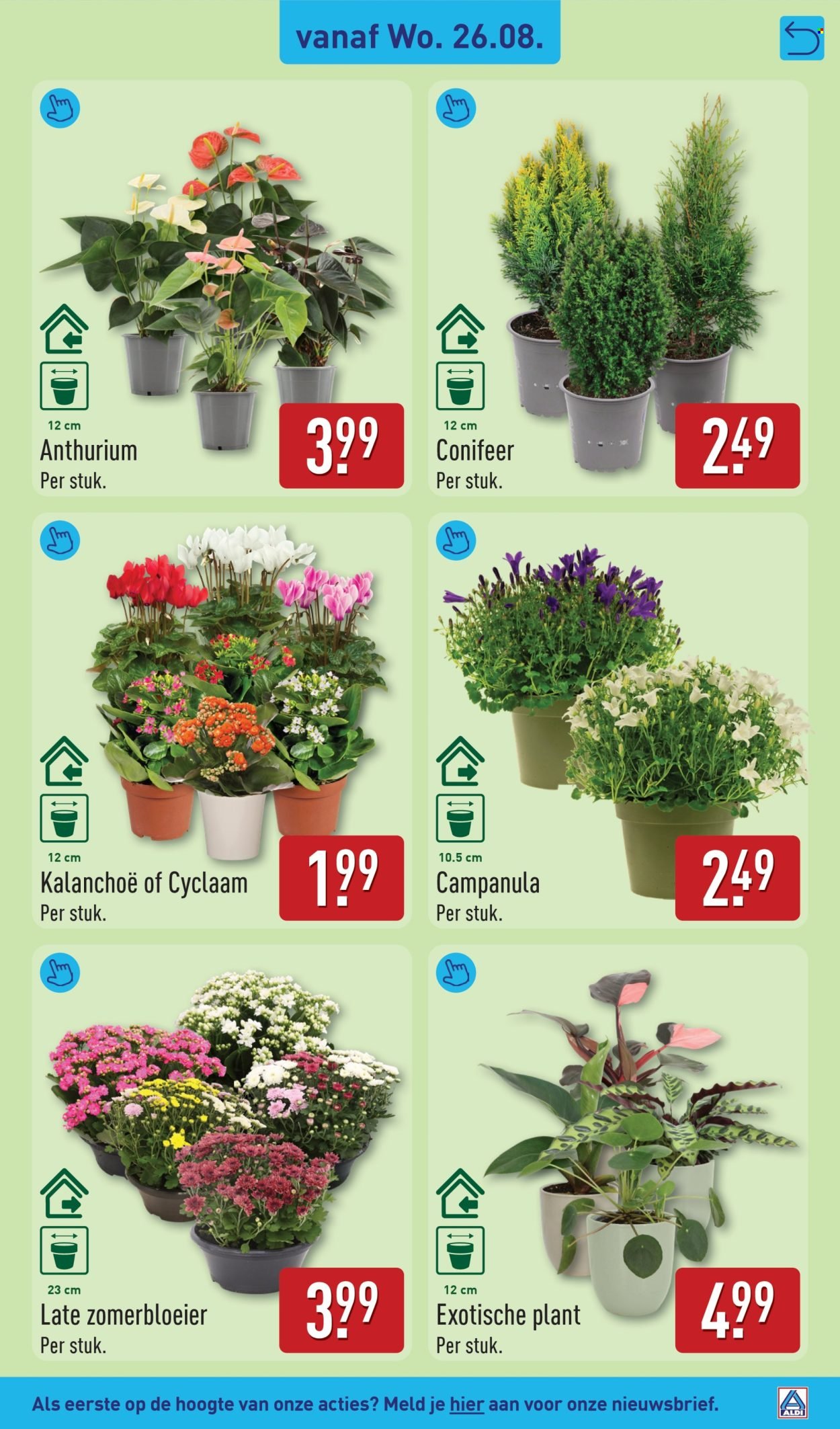 ALDI folder - Van maandag 24 augustus 2026