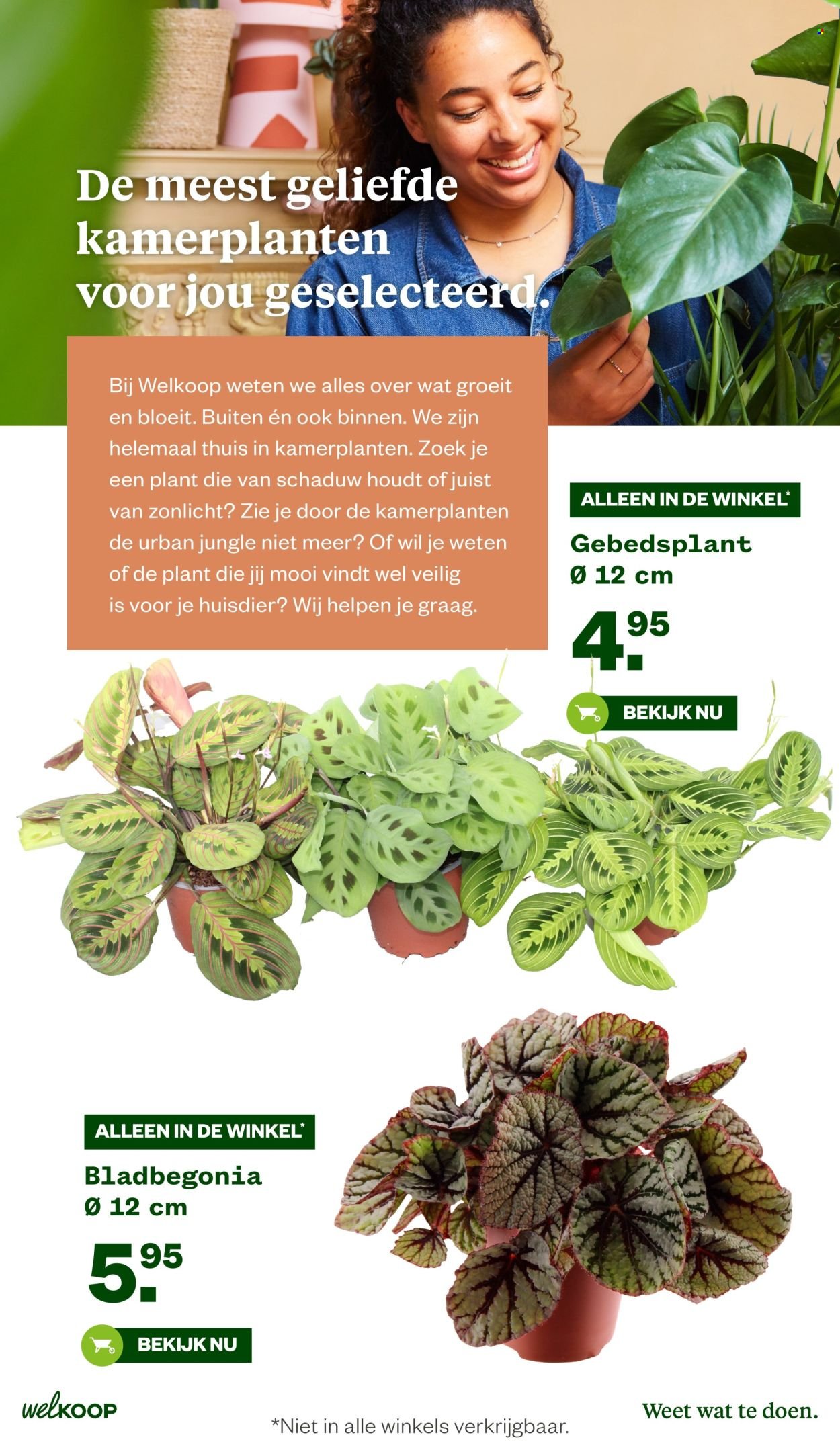WELKOOP folder - Van maandag 20 oktober 2025 (2025-10-20 - 2025-11-09)