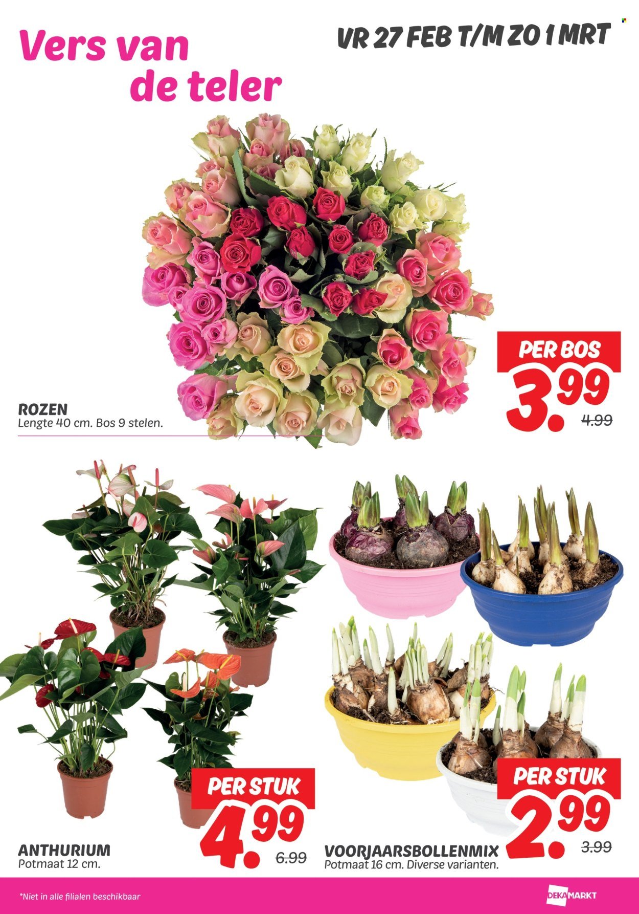 DEKAMARKT folder - Van dinsdag 24 februari 2026