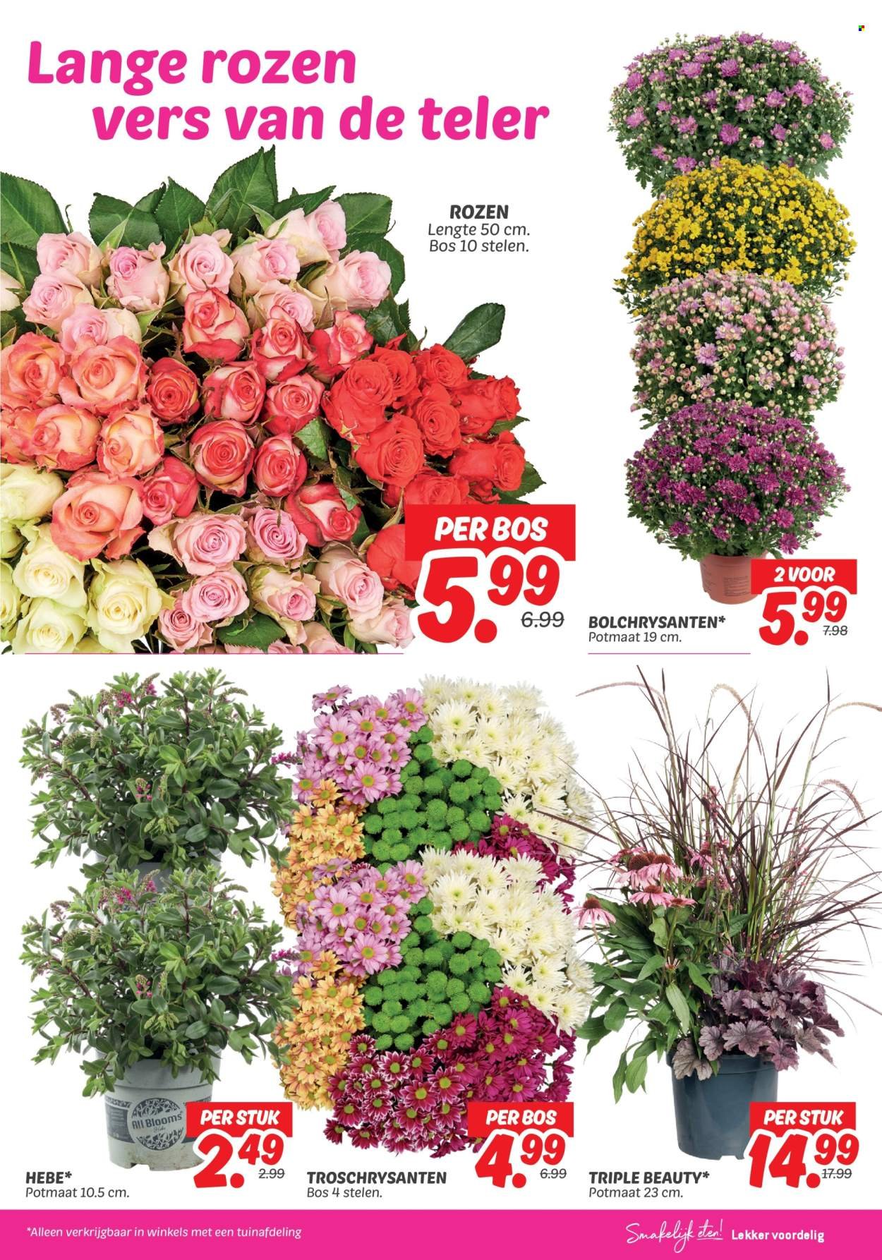 DEKAMARKT folder - Van dinsdag 26 augustus 2025 (2025-08-26 - 2025-09-01)