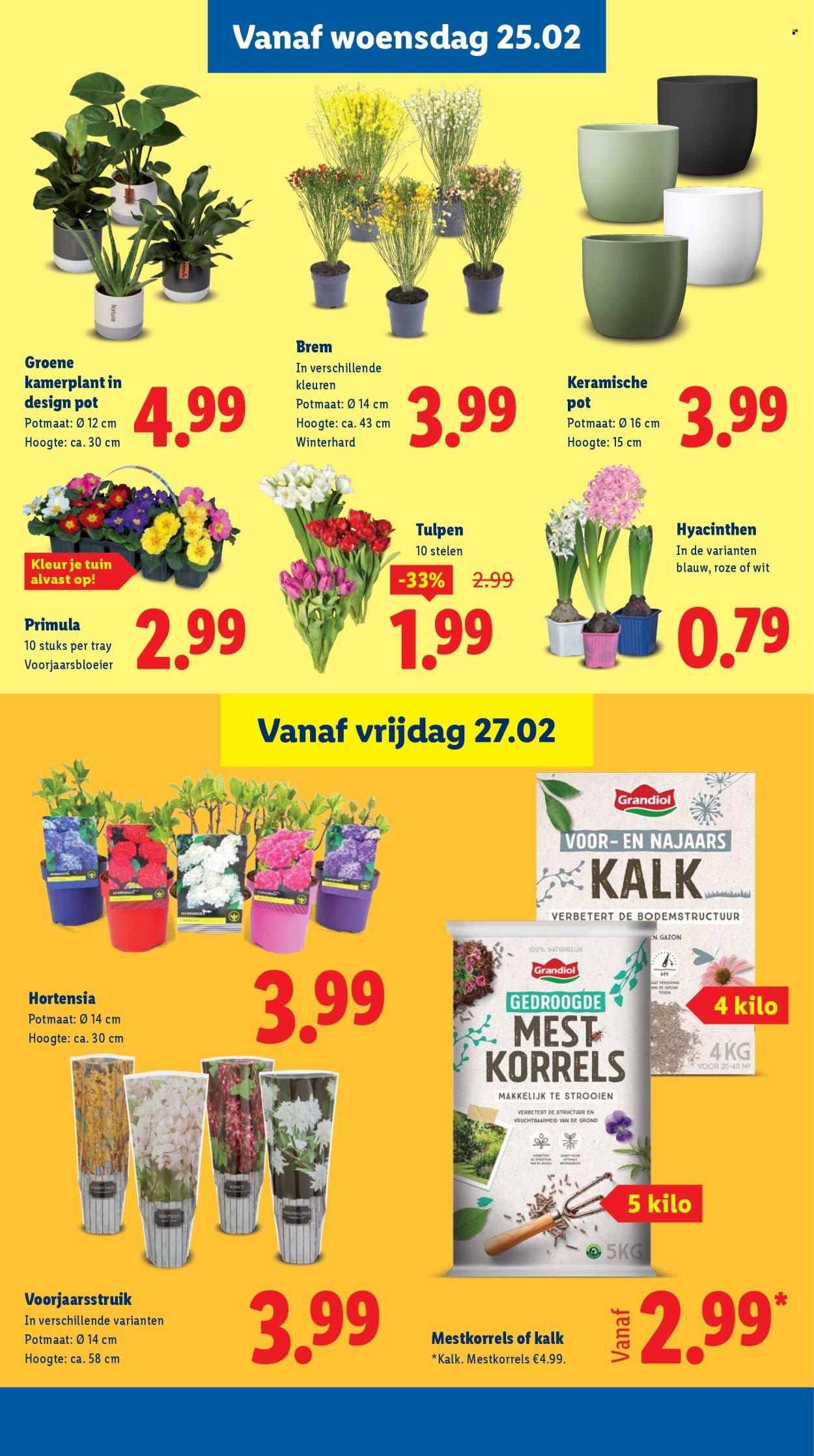 LIDL folder - Week 9