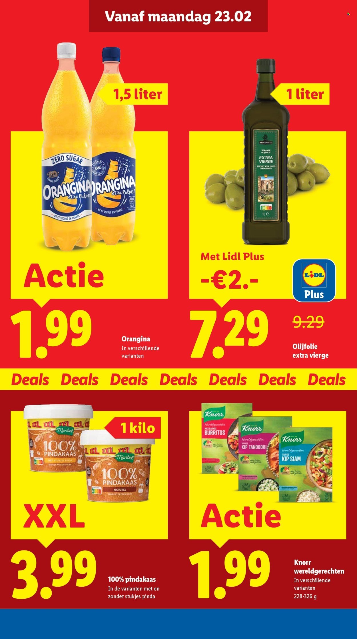 LIDL folder - Week 9