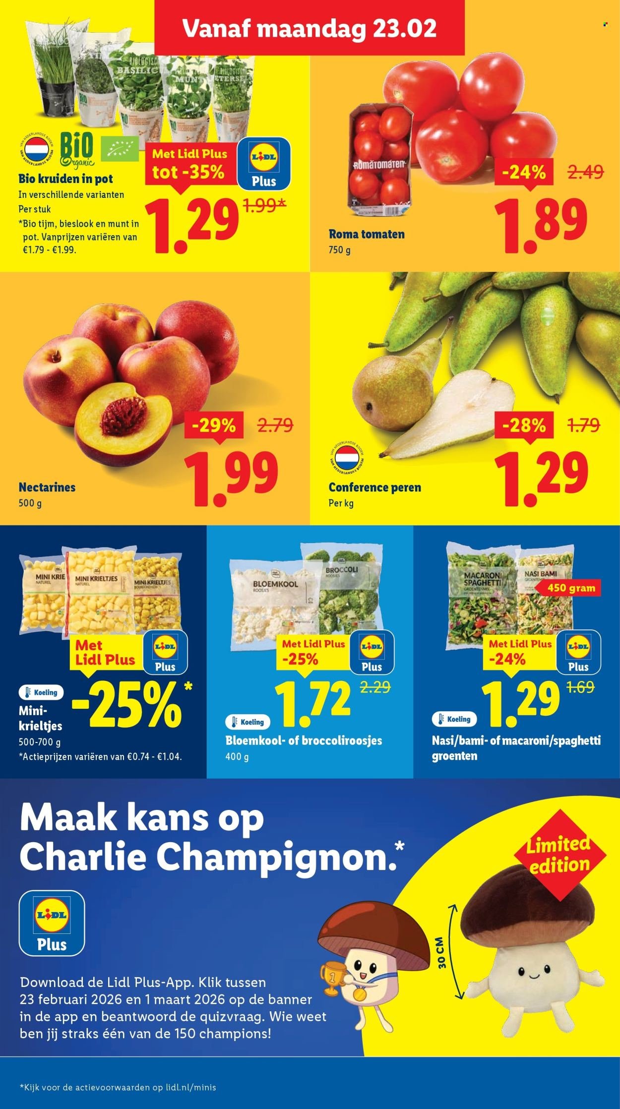 LIDL folder - Week 9