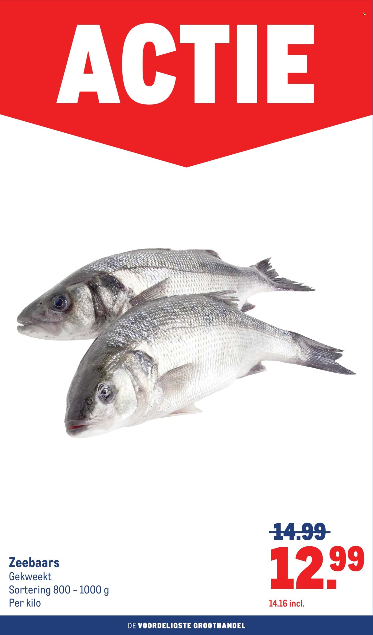 MAKRO folder - BBQ