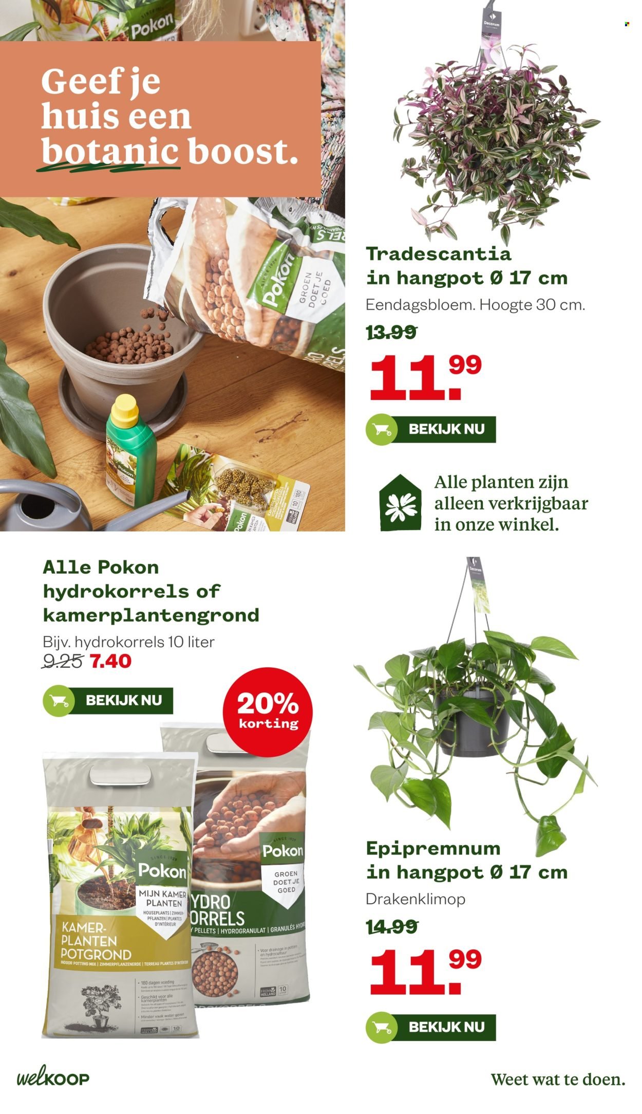 WELKOOP folder - Van maandag 16 februari 2026