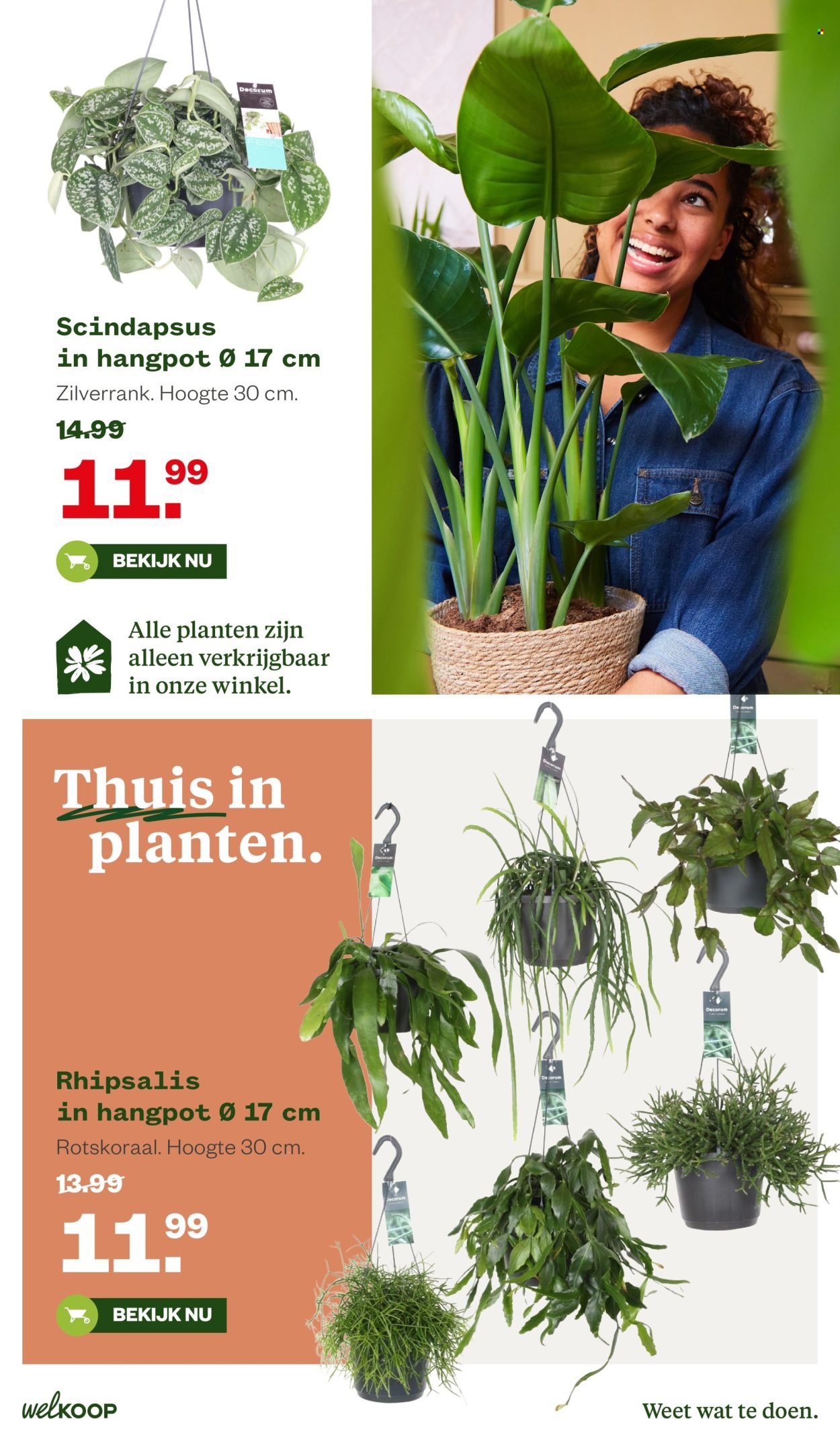 WELKOOP folder - Van maandag 16 februari 2026