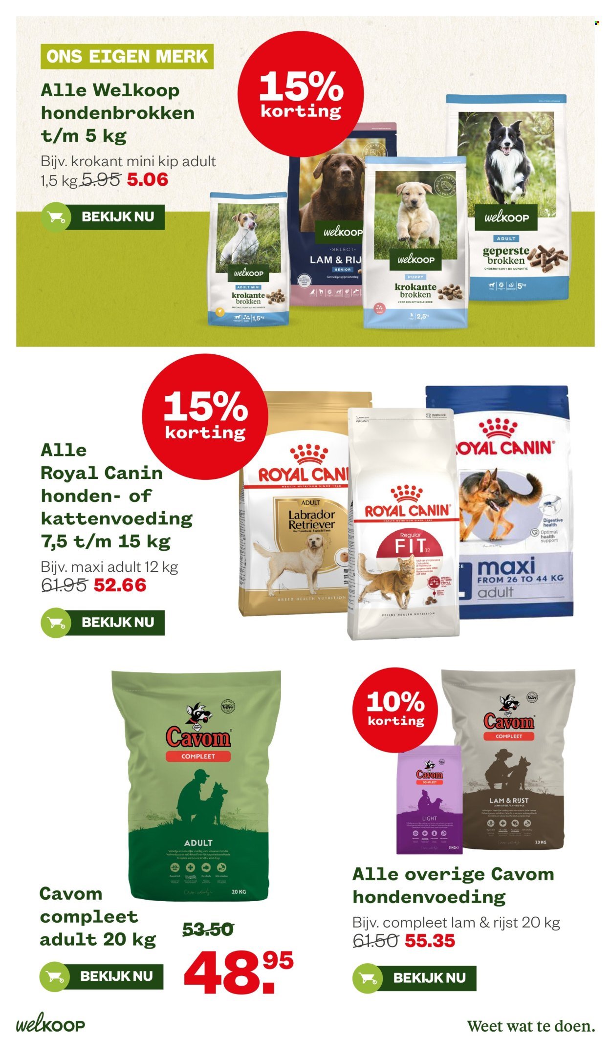 WELKOOP folder - Van maandag 16 februari 2026