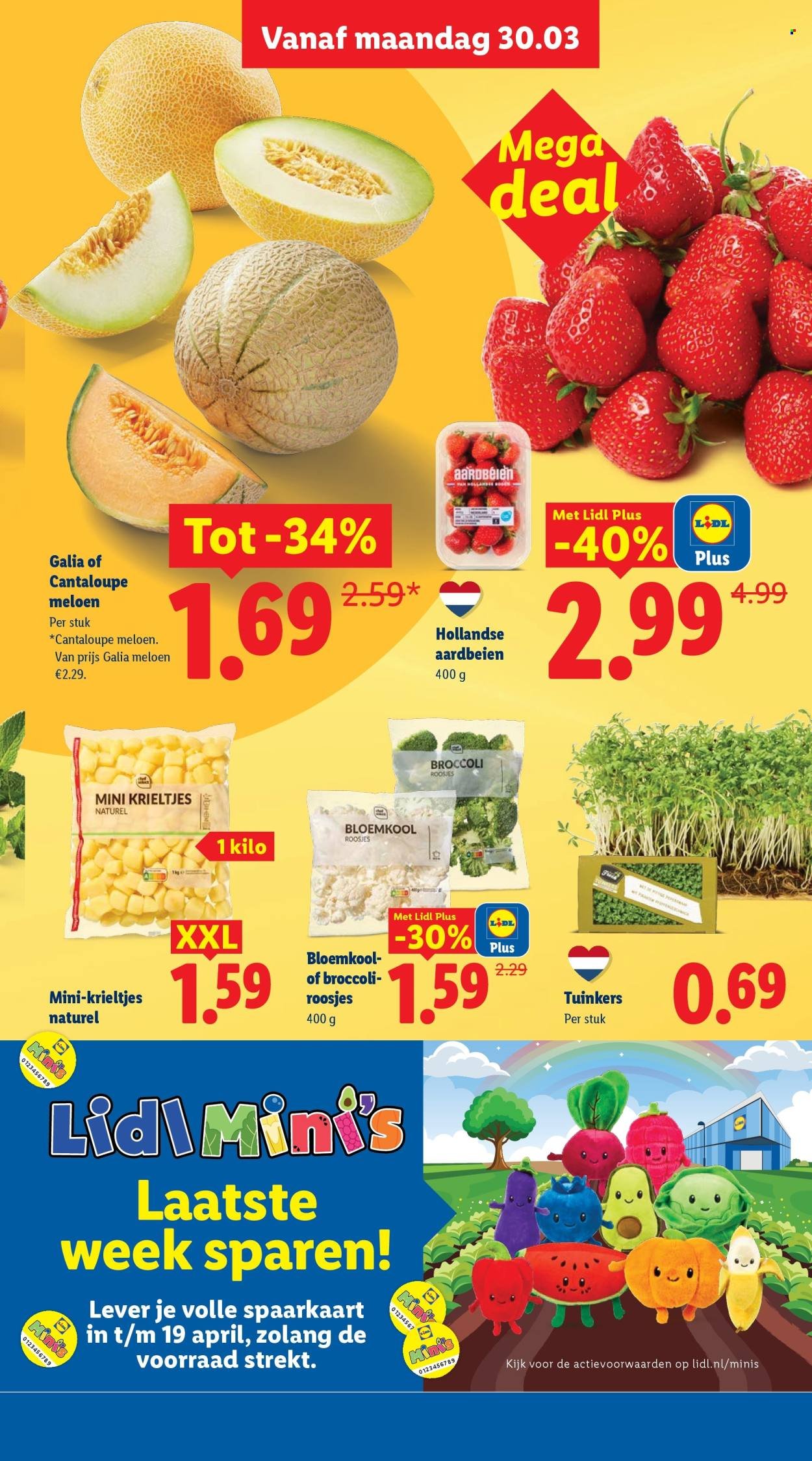LIDL folder - Week 14