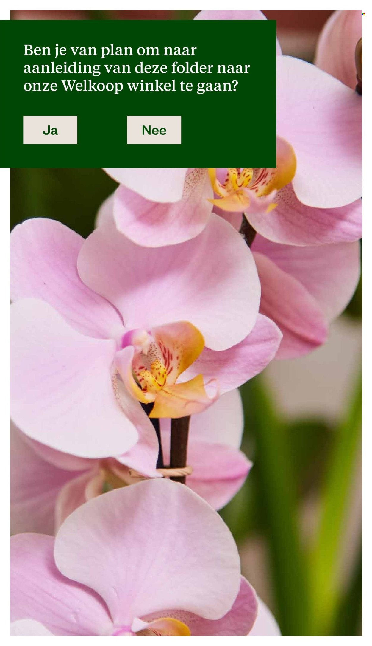 WELKOOP folder - Van maandag 8 september 2025 (2025-09-08 - 2025-09-21)