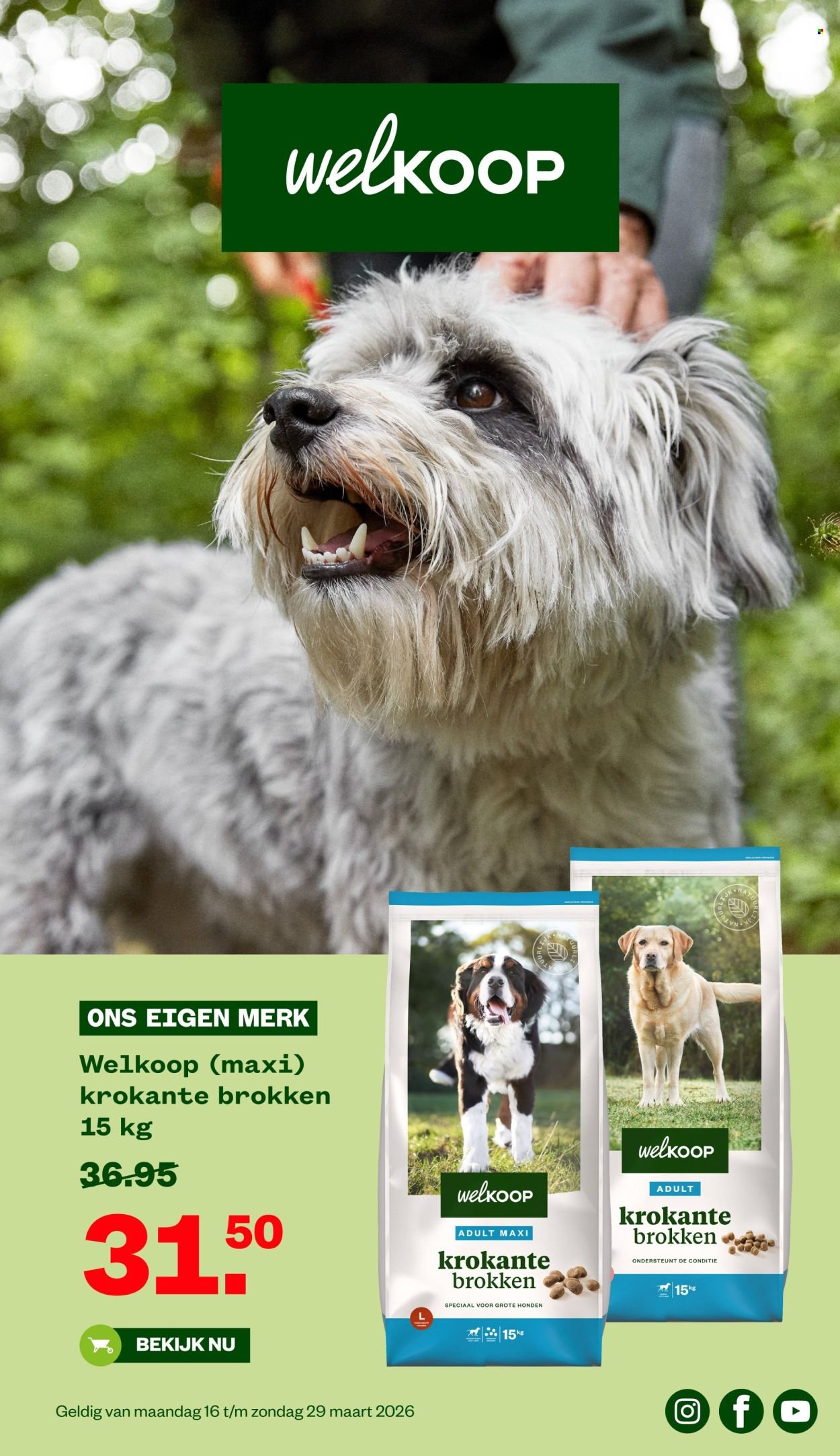 WELKOOP folder - Van maandag 16 maart 2026