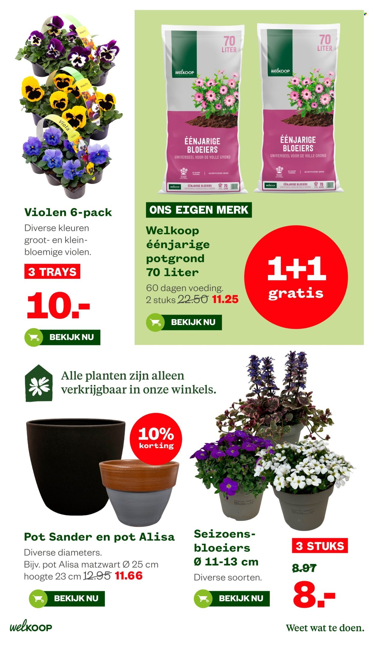 WELKOOP folder - Van maandag 16 maart 2026