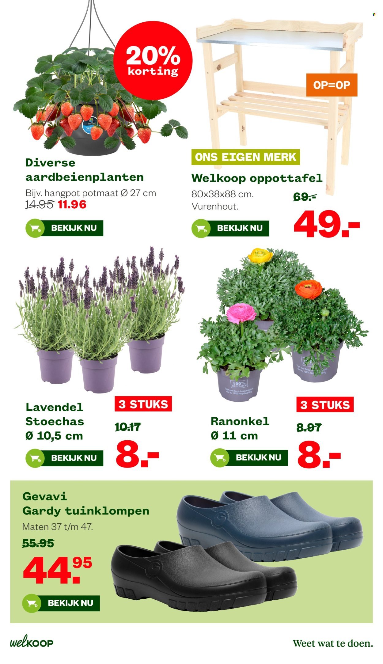 WELKOOP folder - Van maandag 16 maart 2026