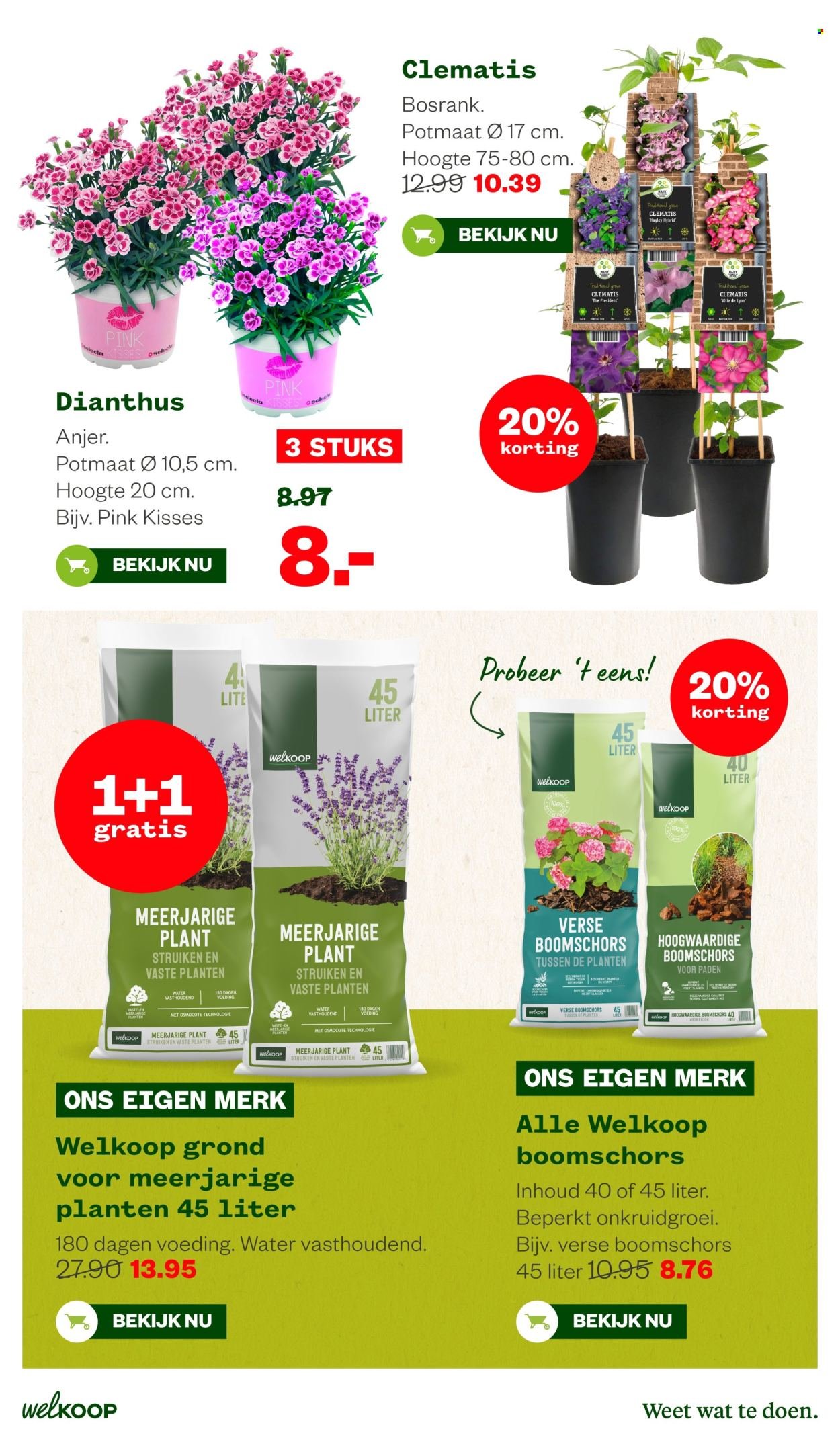 WELKOOP folder - Van maandag 16 maart 2026
