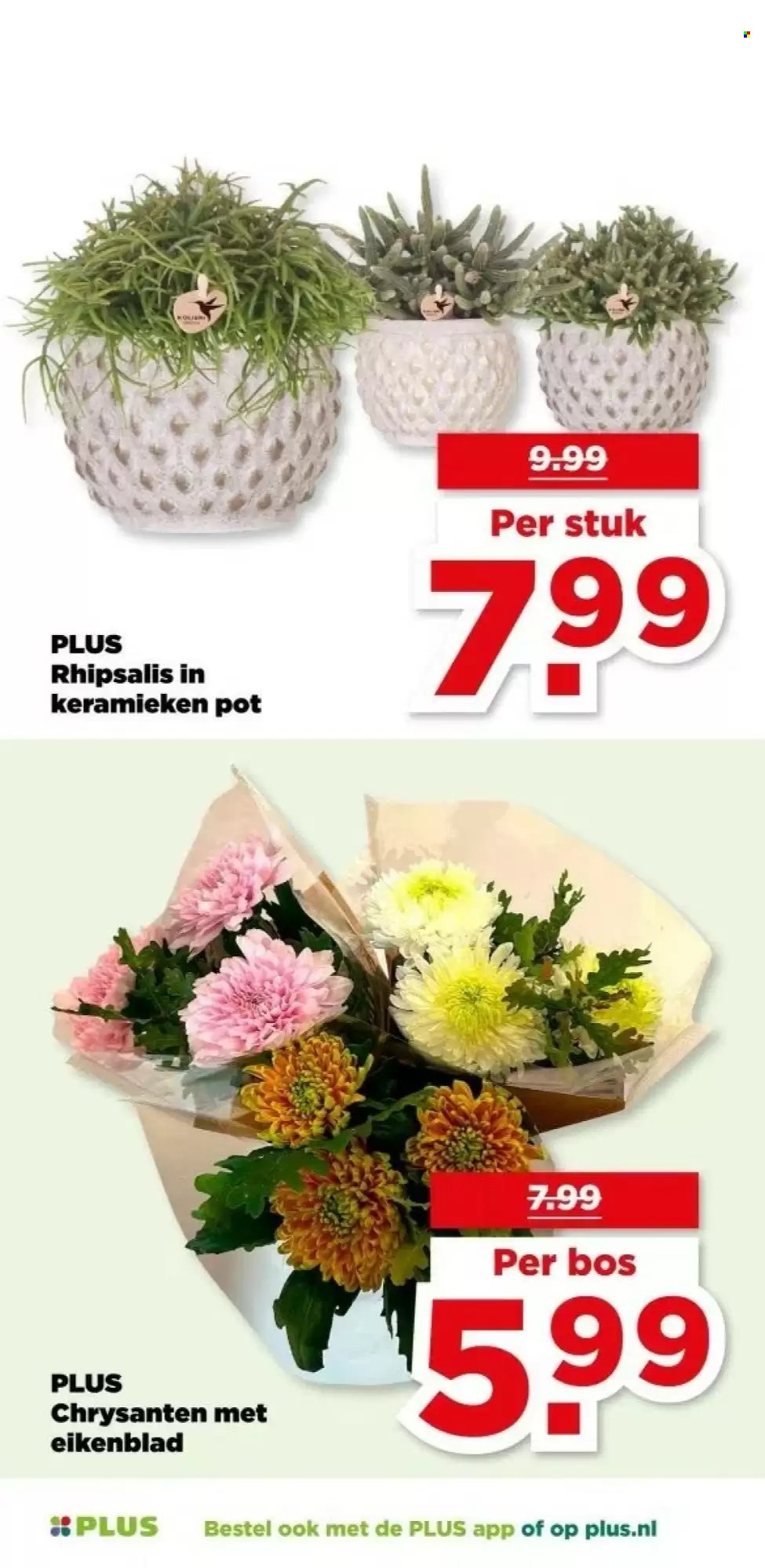 PLUS folder - Van woensdag 5 november 2025 (2025-11-05 - 2025-11-11)