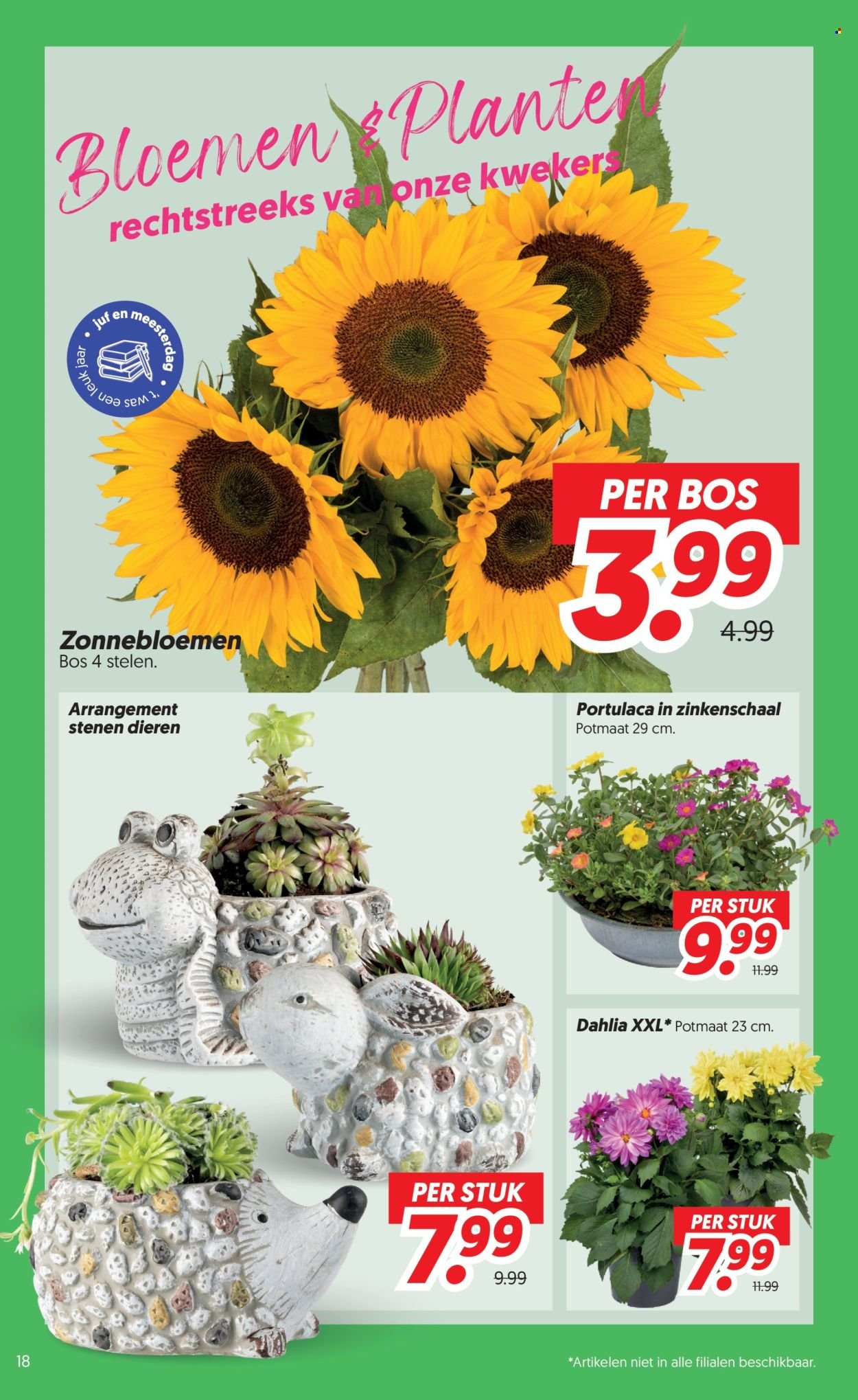 DEKAMARKT folder - Van dinsdag 23 juni 2026