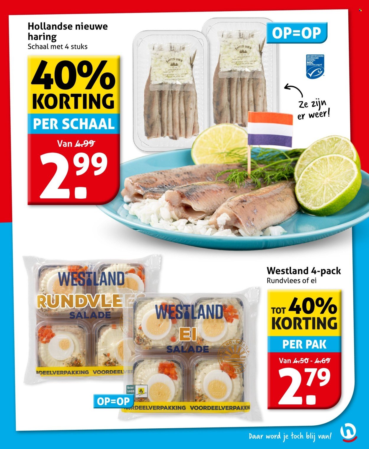 HOOGVLIET folder - Van woensdag 17 juni 2026