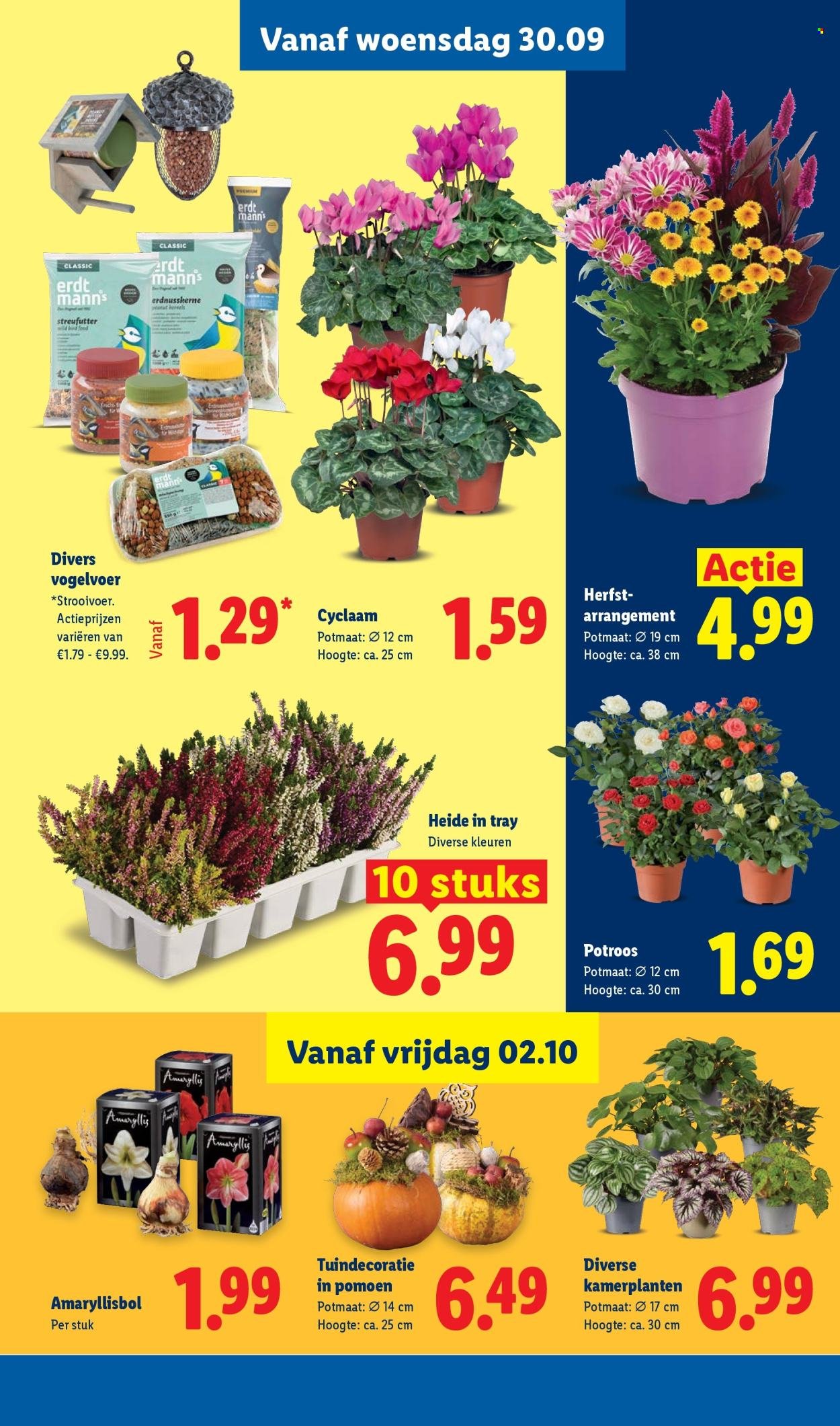 LIDL folder - Week 40