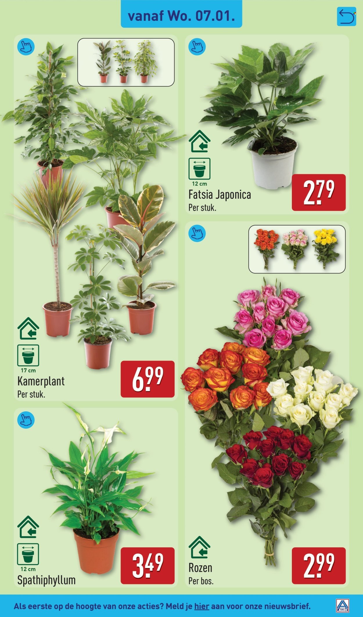 ALDI folder - Van maandag 5 januari 2026