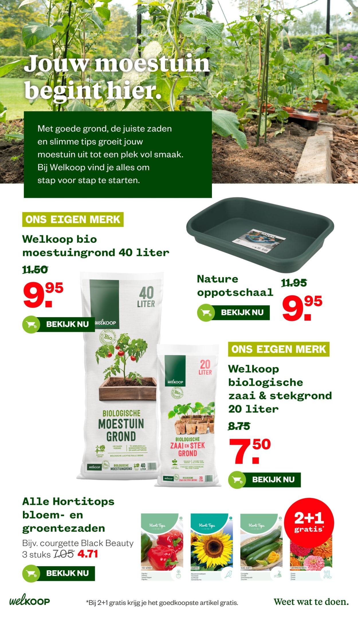 WELKOOP folder - Van maandag 19 januari 2026