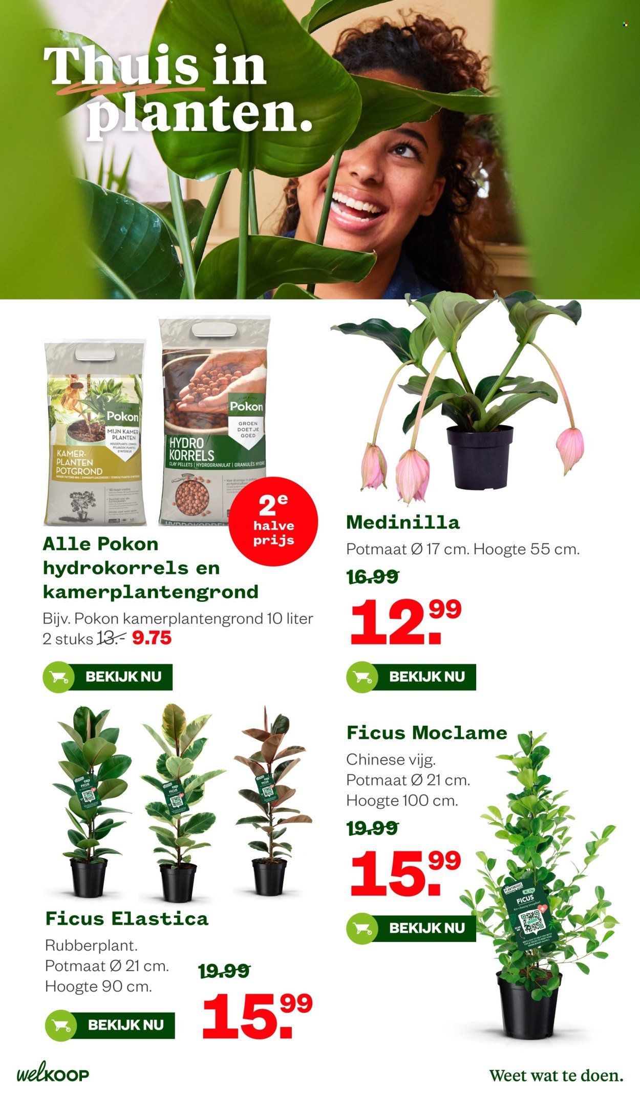 WELKOOP folder - Van maandag 19 januari 2026