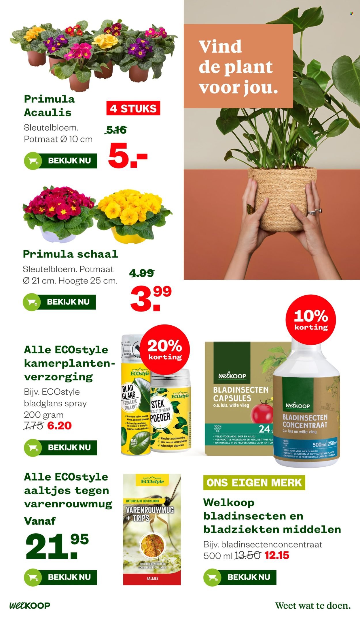 WELKOOP folder - Van maandag 19 januari 2026