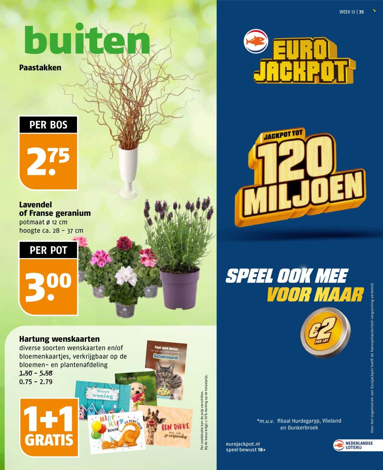 POIESZ folder - Week 13