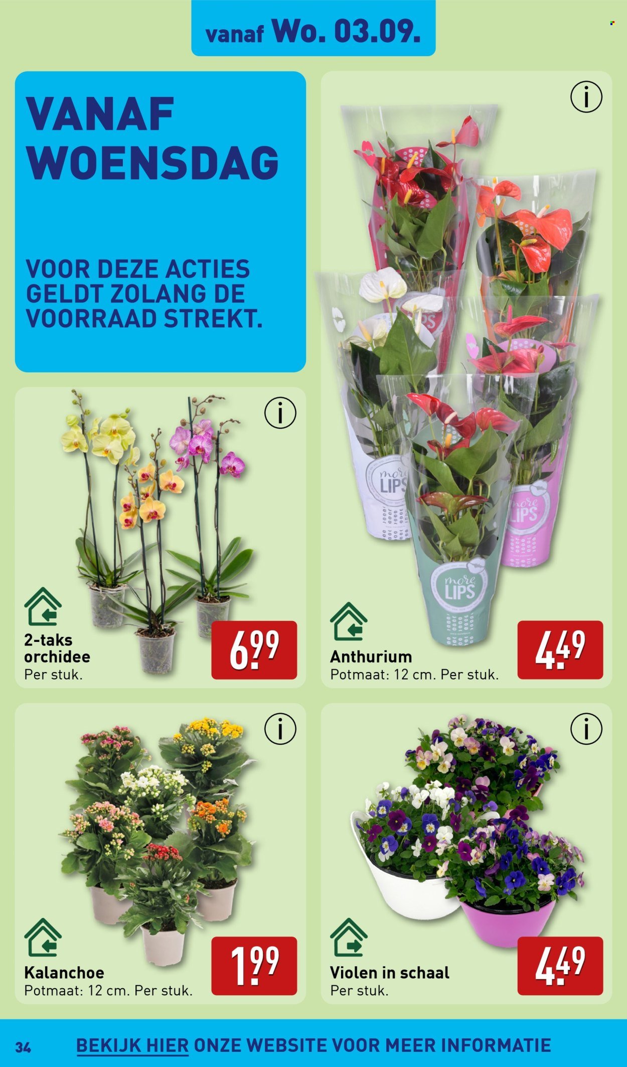 ALDI folder - Van maandag 1 september 2025 (2025-09-01 - 2025-09-07)