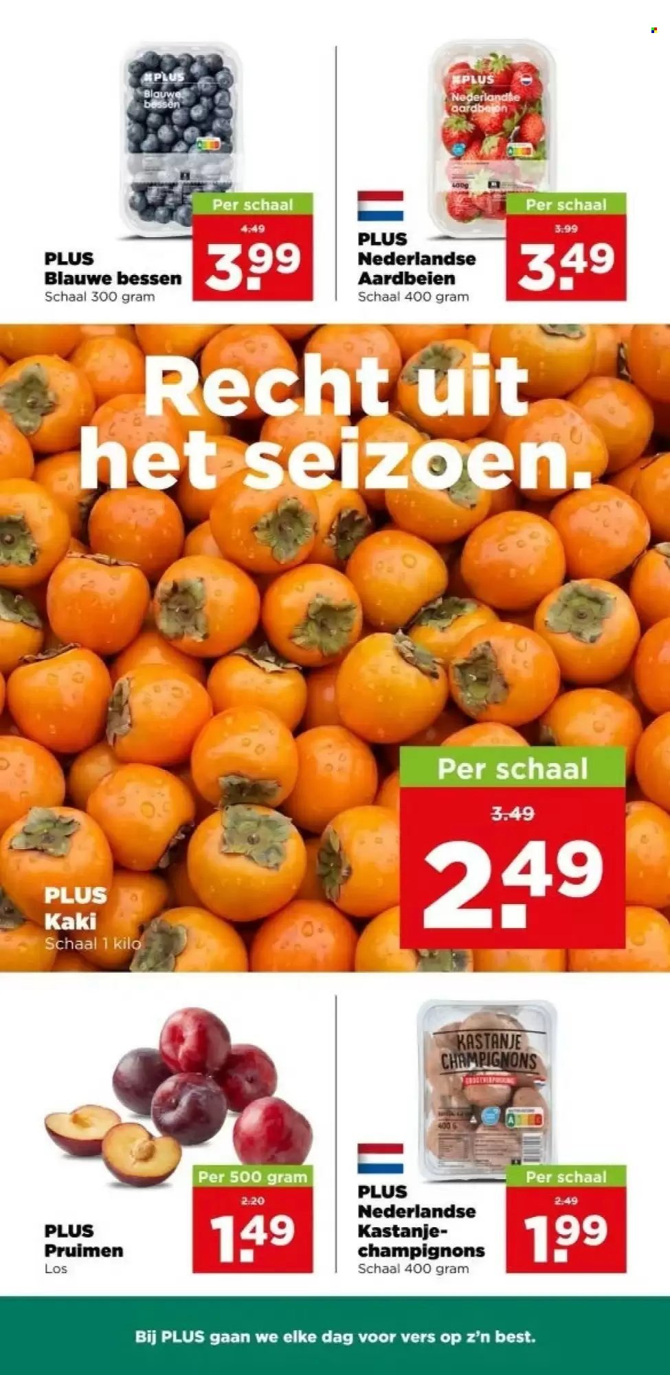 PLUS folder - Van woensdag 21 oktober 2026