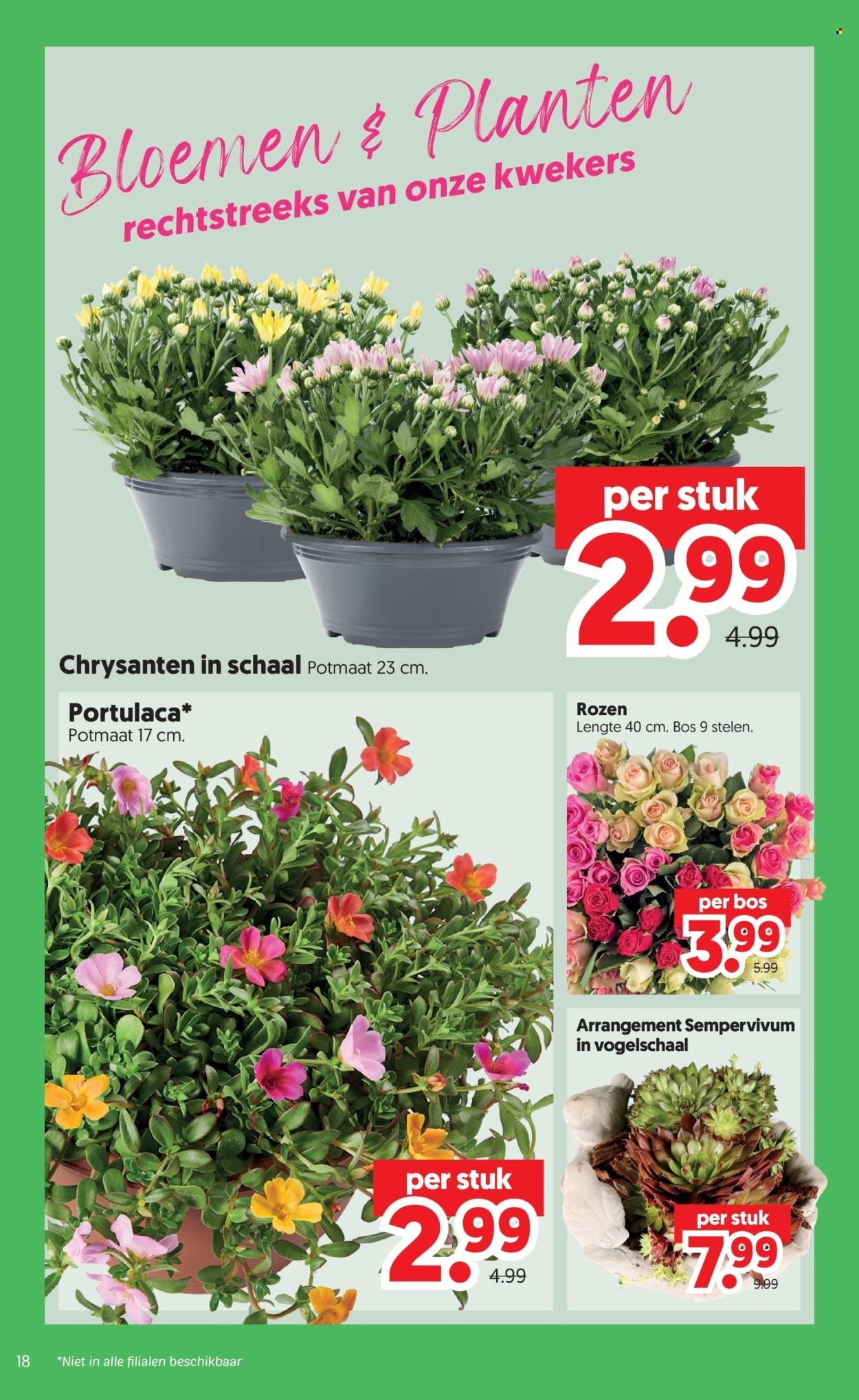 DEKAMARKT folder - Van dinsdag 28 juli 2026