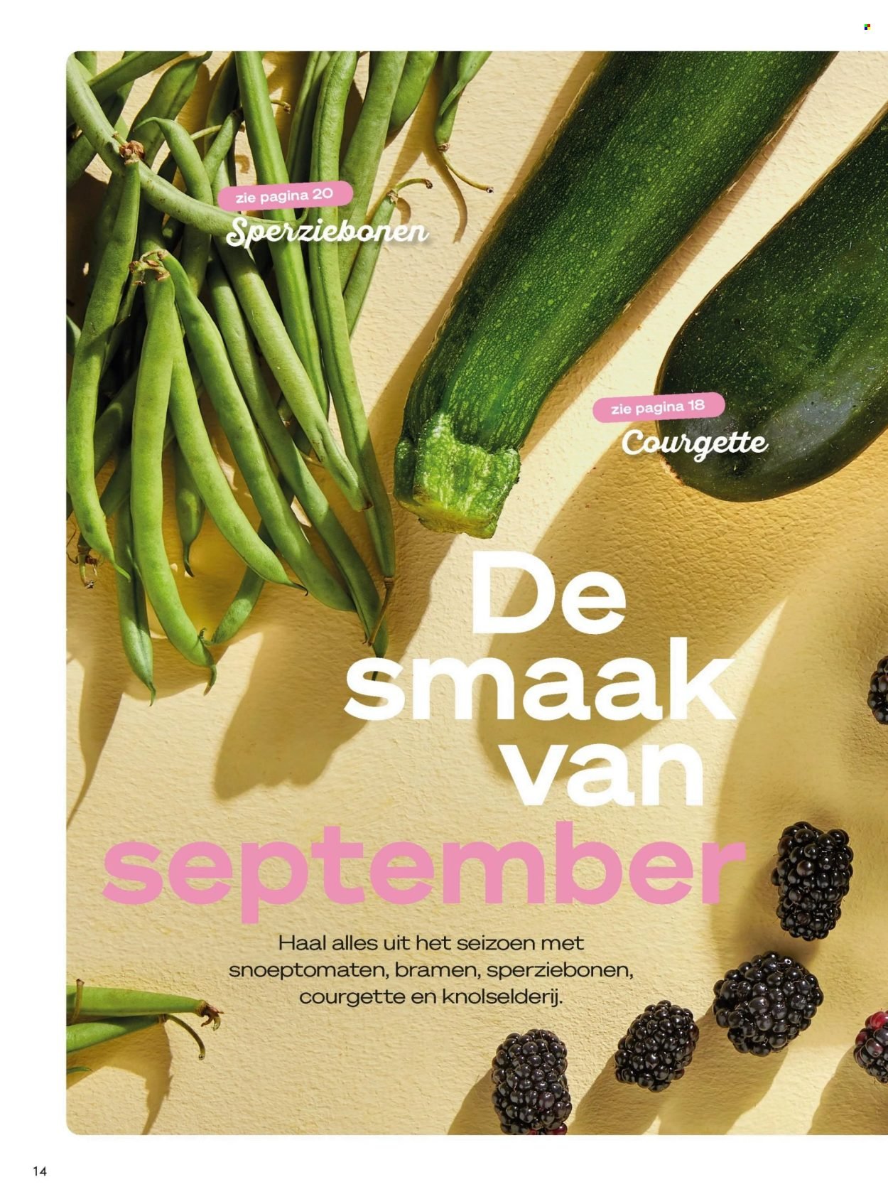 BONI folder - Van dinsdag 1 september 2026