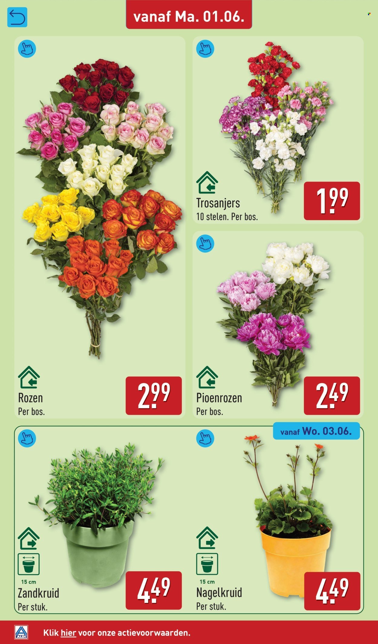 ALDI folder - Van maandag 1 juni 2026