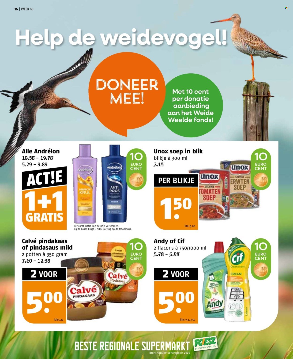 POIESZ folder - Week 16