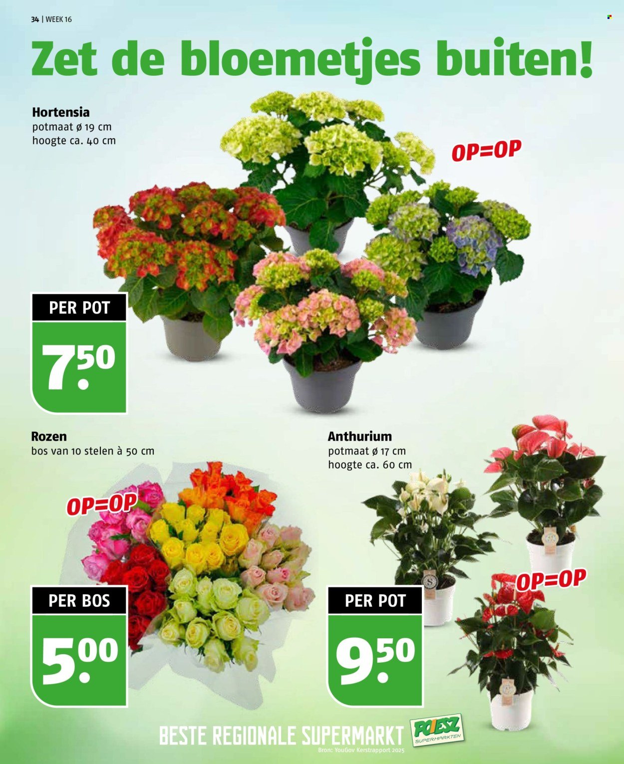 POIESZ folder - Week 16