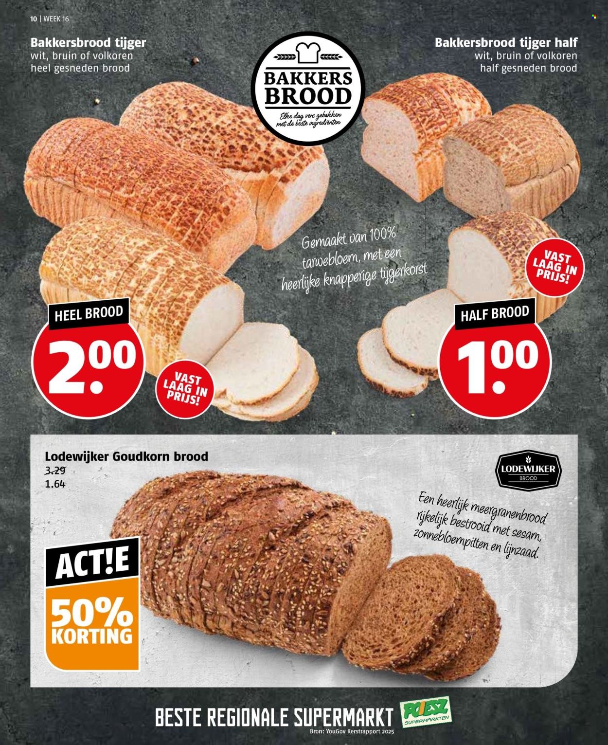 POIESZ folder - Week 16