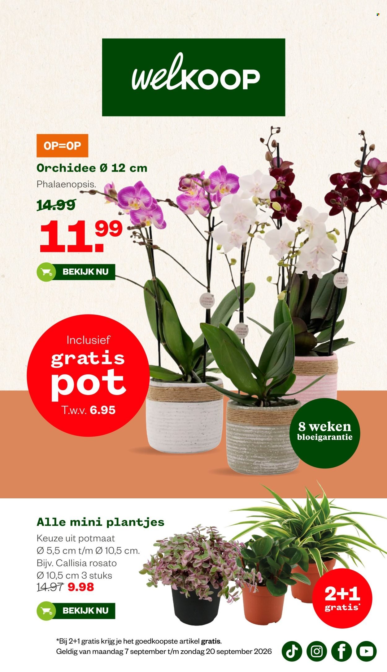 WELKOOP folder - Van maandag 7 september 2026