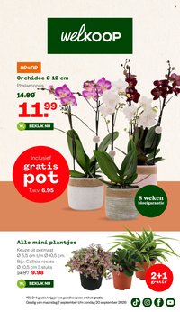 WELKOOP folder - Van maandag 7 september 2026