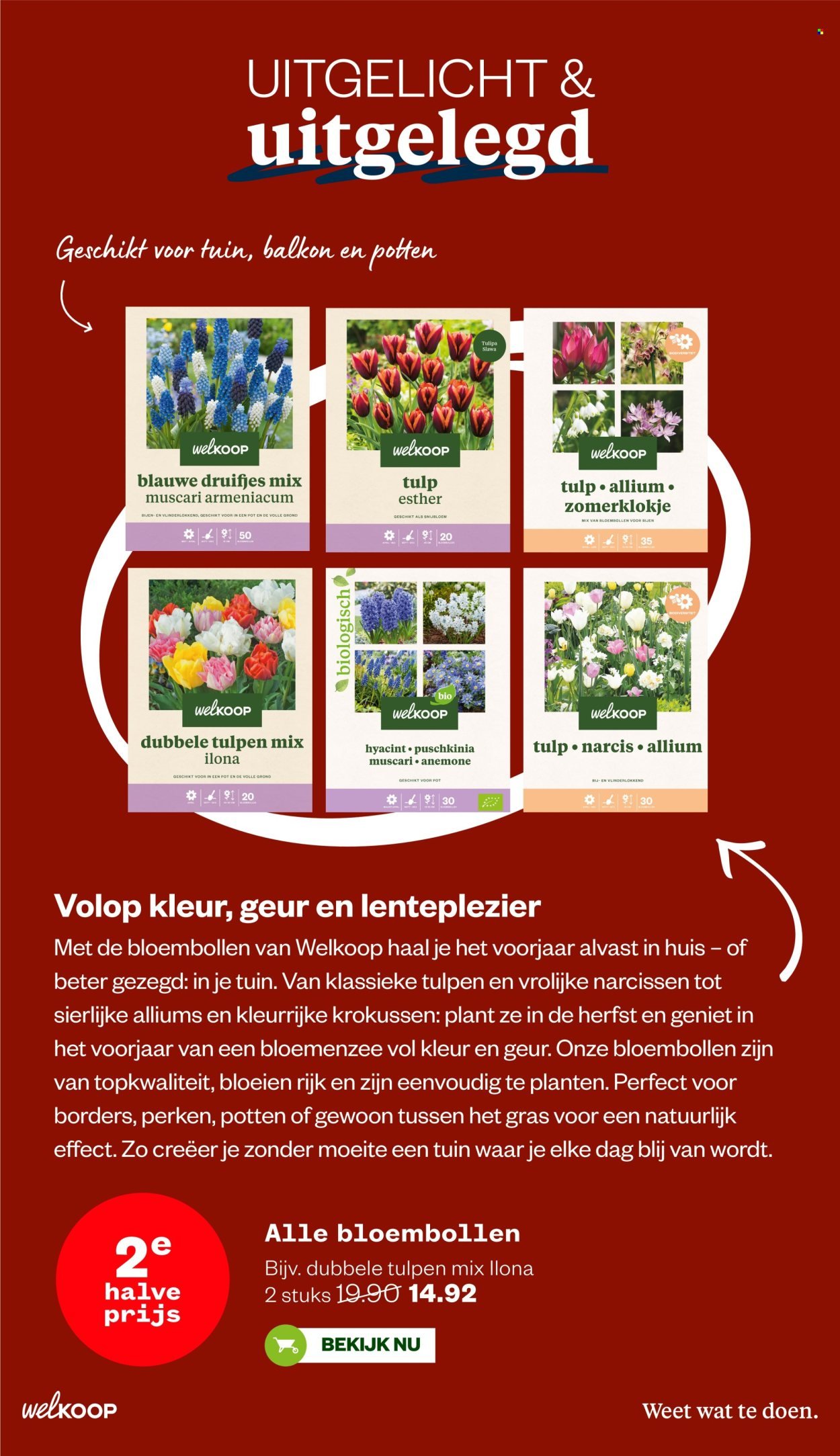 WELKOOP folder - Van maandag 20 oktober 2025 (2025-10-20 - 2025-11-09)