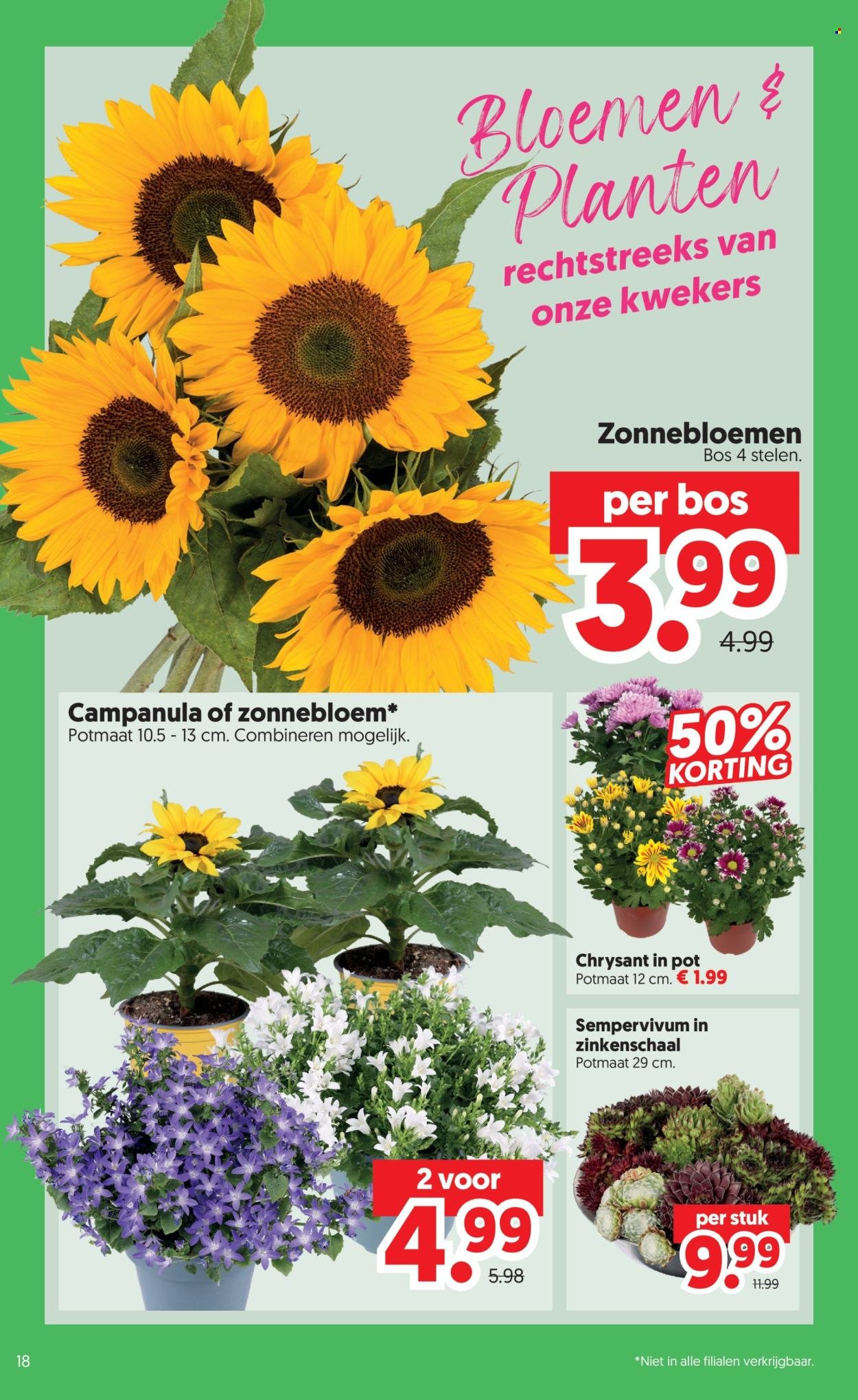 DEKAMARKT folder - Van dinsdag 14 juli 2026
