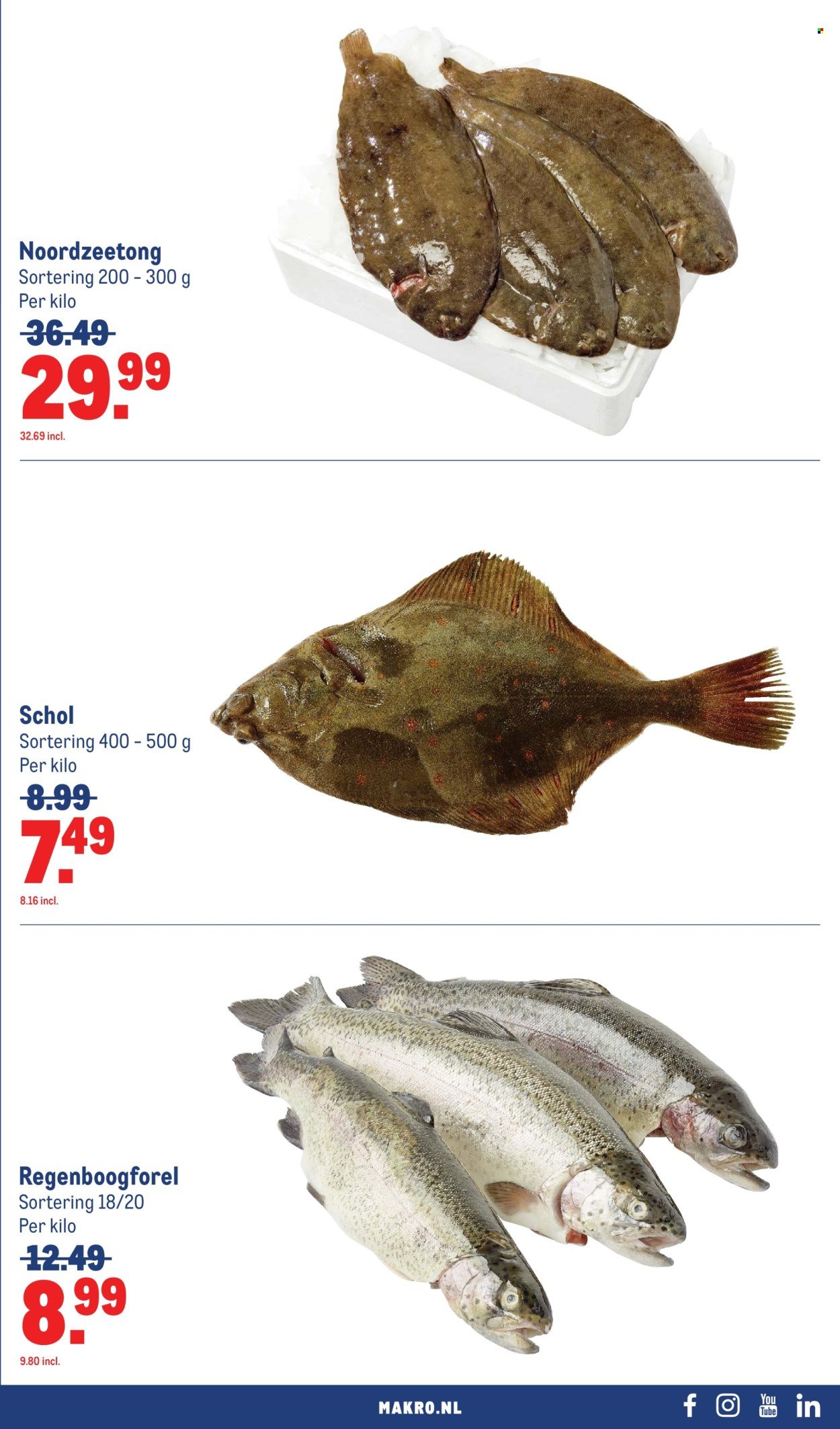 MAKRO folder - Food