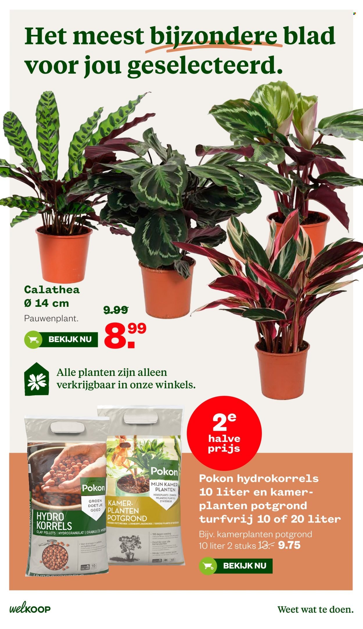 WELKOOP folder - Van maandag 13 april 2026