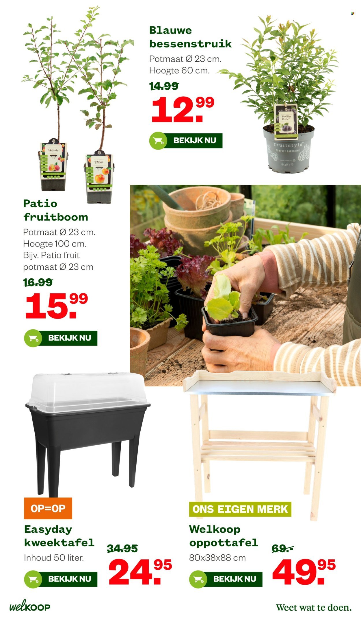 WELKOOP folder - Van maandag 2 februari 2026