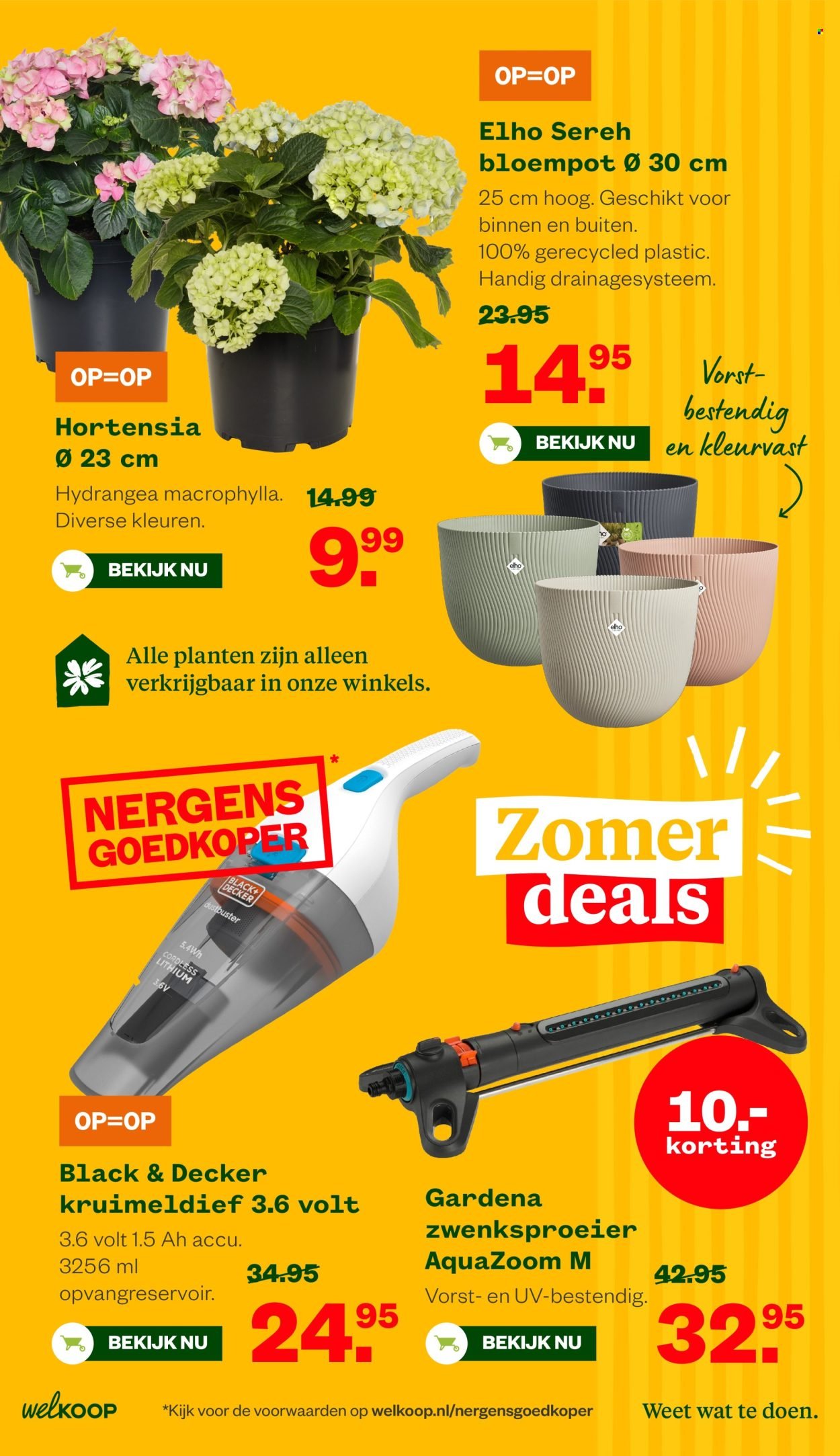 WELKOOP folder - Van maandag 20 juli 2026