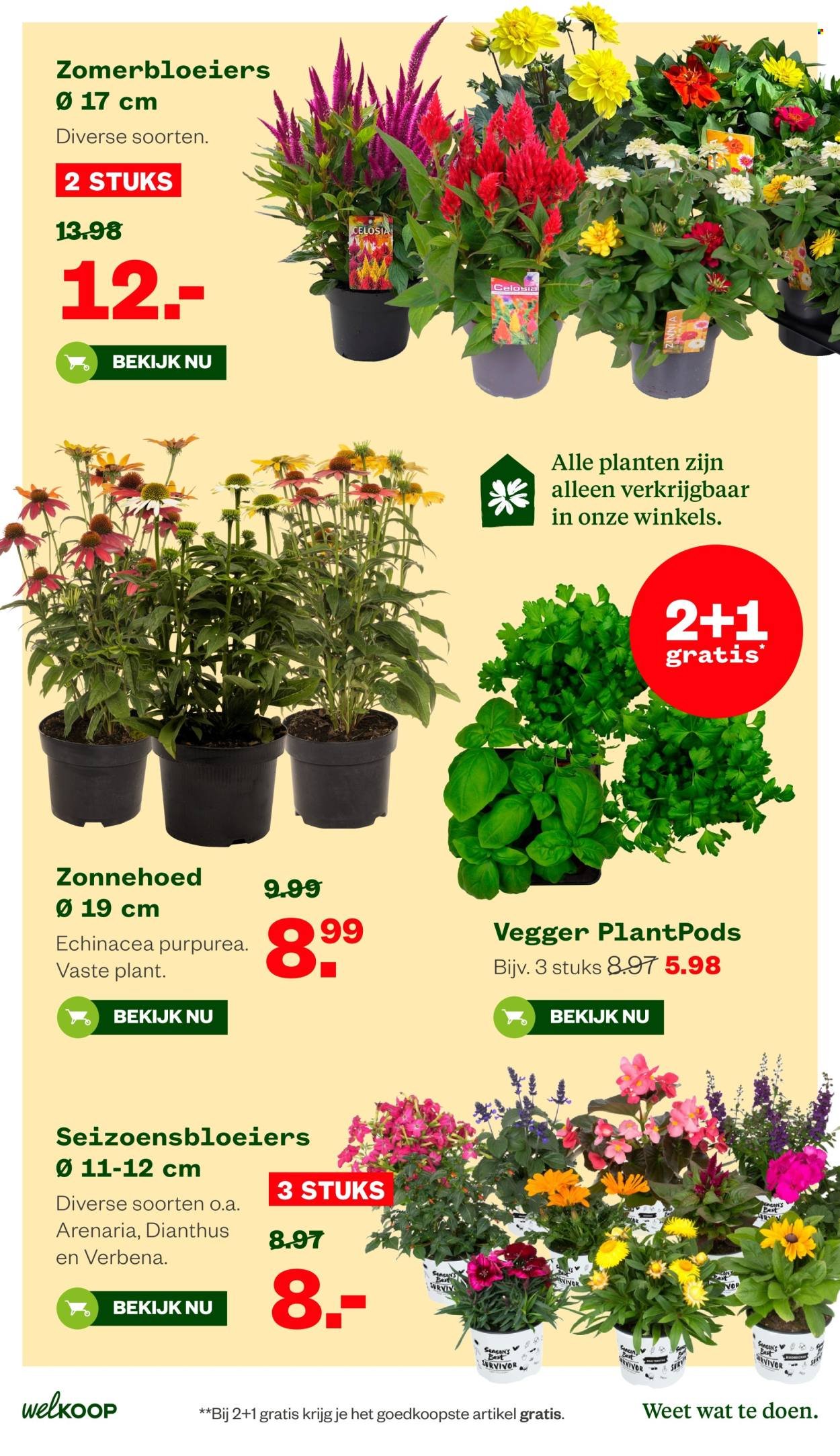 WELKOOP folder - Van maandag 20 juli 2026